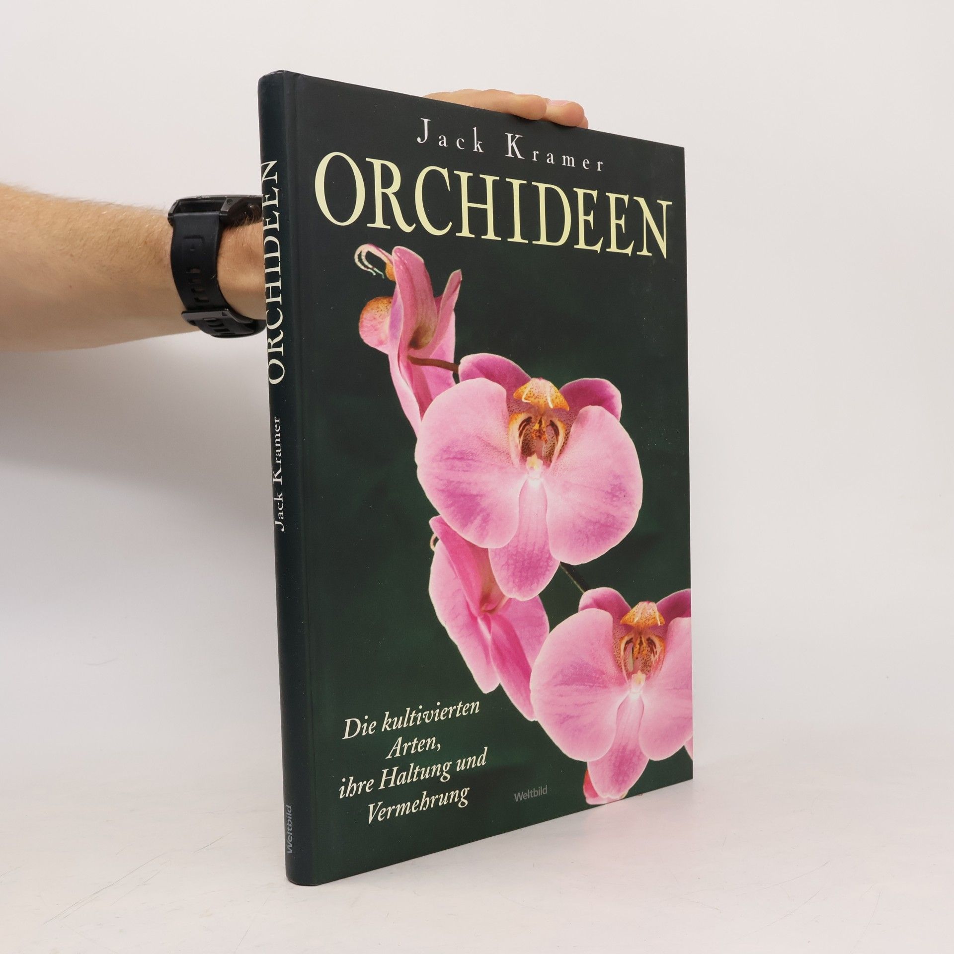 Jack Kramer Orchideen