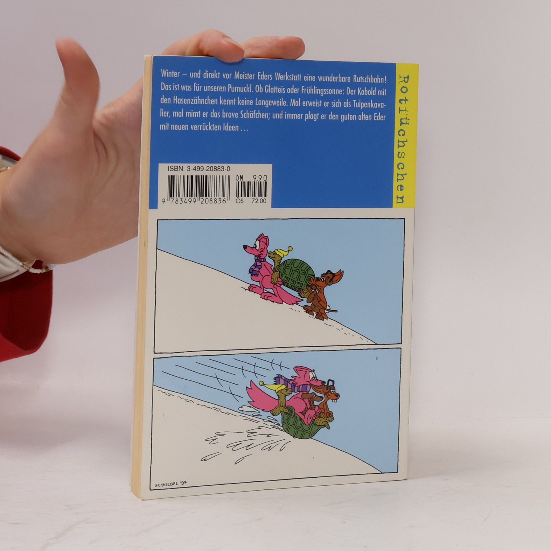 Ellis Kaut Pumuckl geht aufs Glatteis