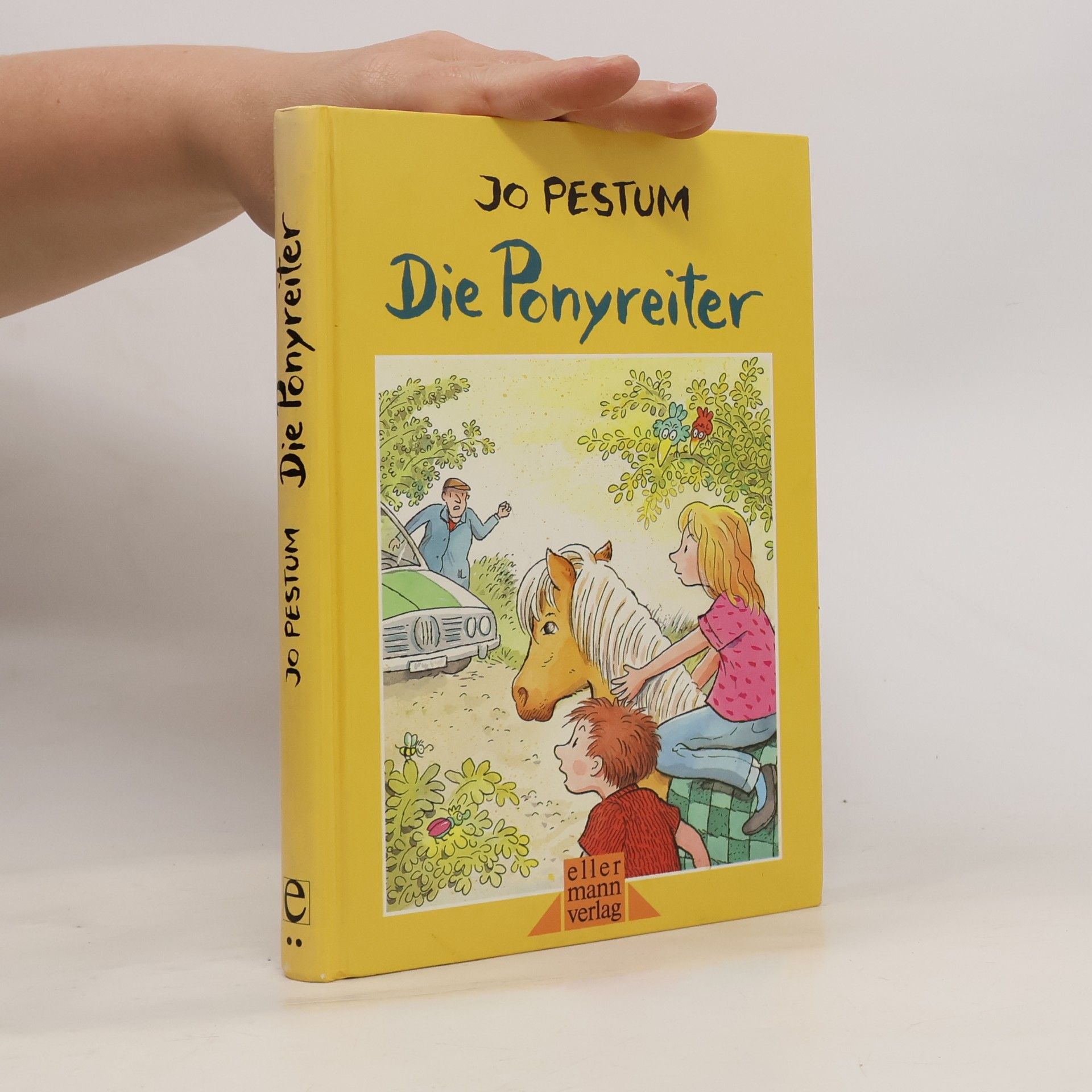 Jo Pestum Die Ponyreiter