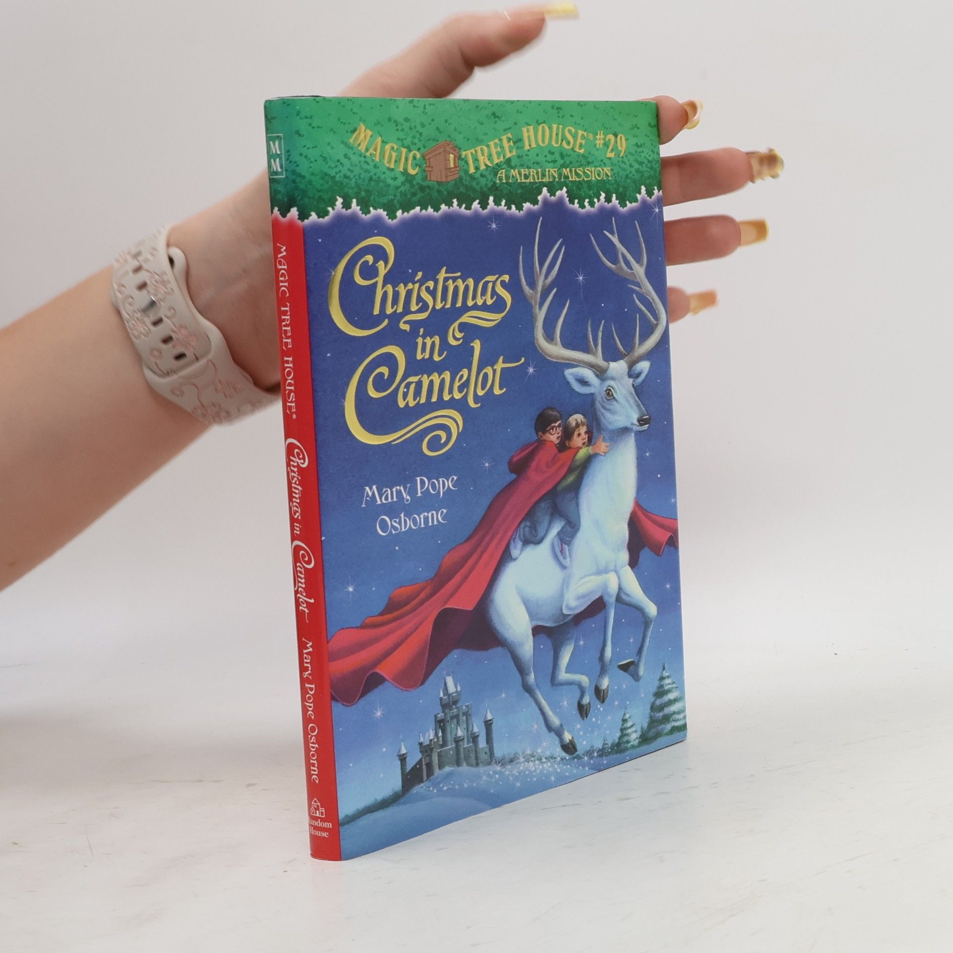 Sal Murdocca Magic Tree House - 29: Christmas in Camelot