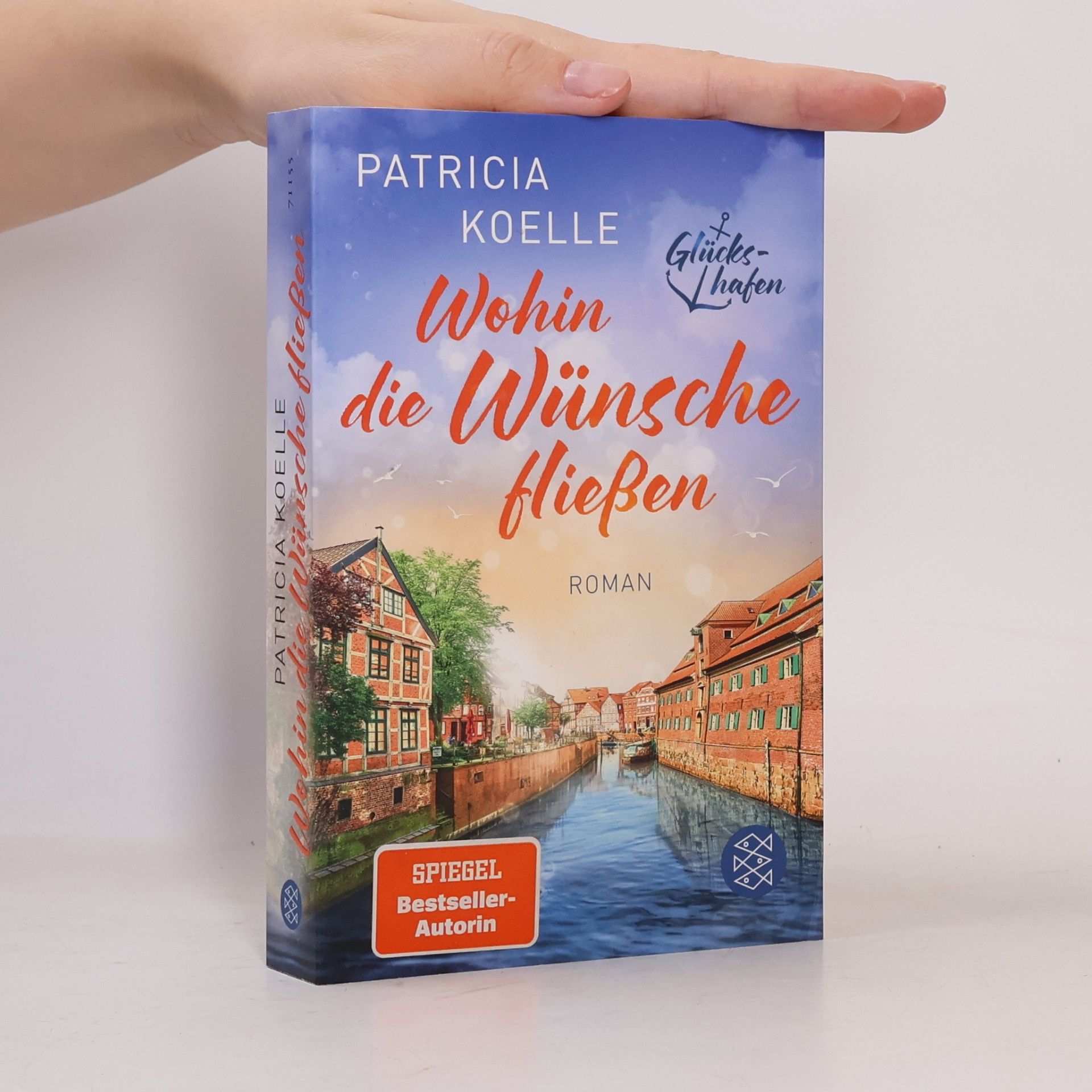 Patricia Koelle Wohin die Wünsche fließen