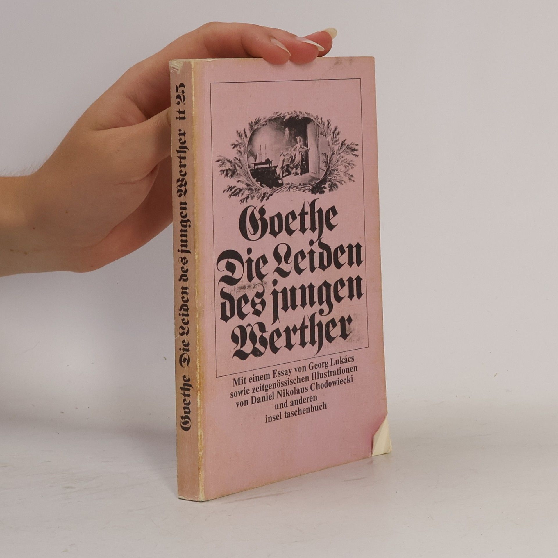 Johann Wolfgang von Goethe Die Leiden des jungen Werther