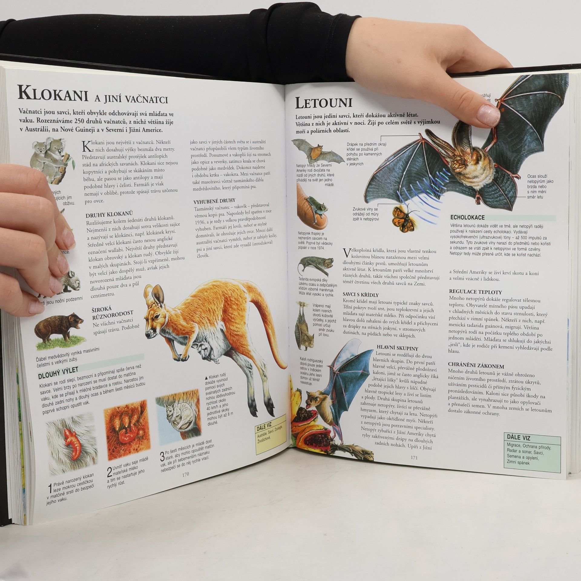 Various authors Velká všeobecná dětská encyklopedie