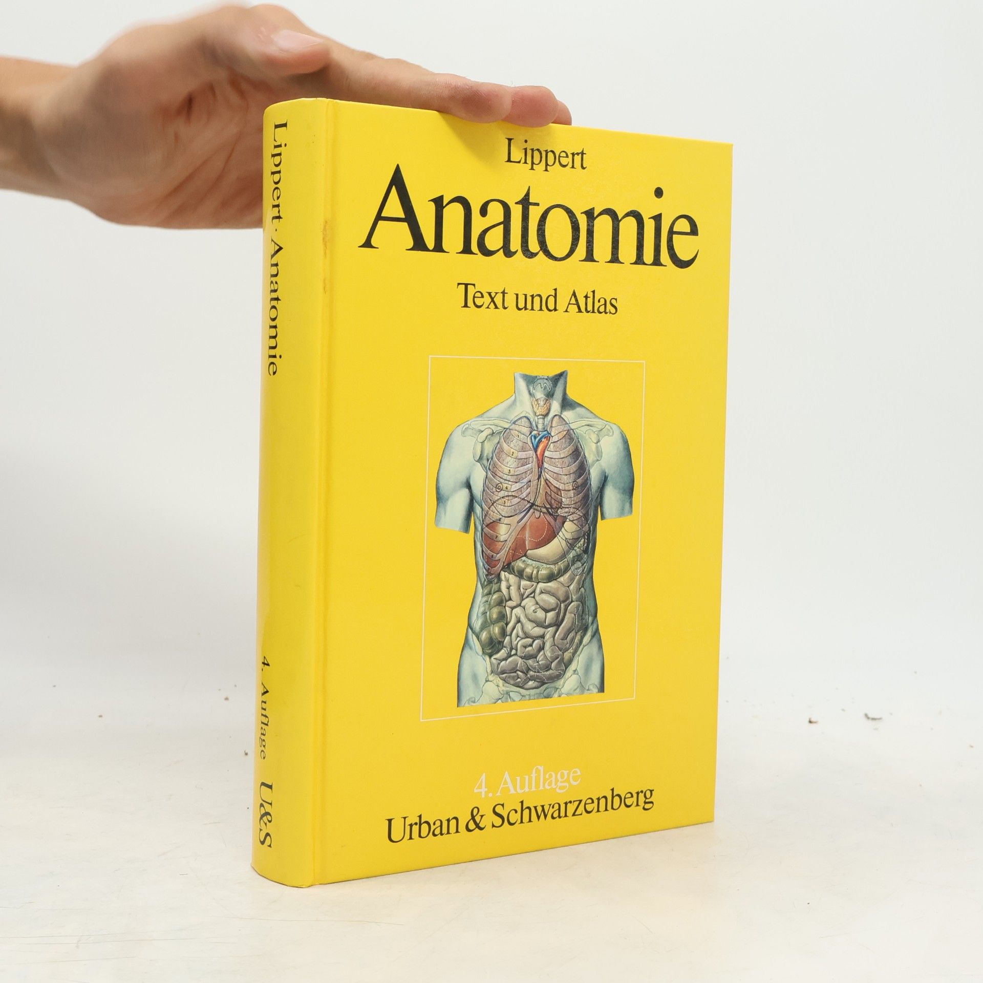 Herbert Lippert Anatomie