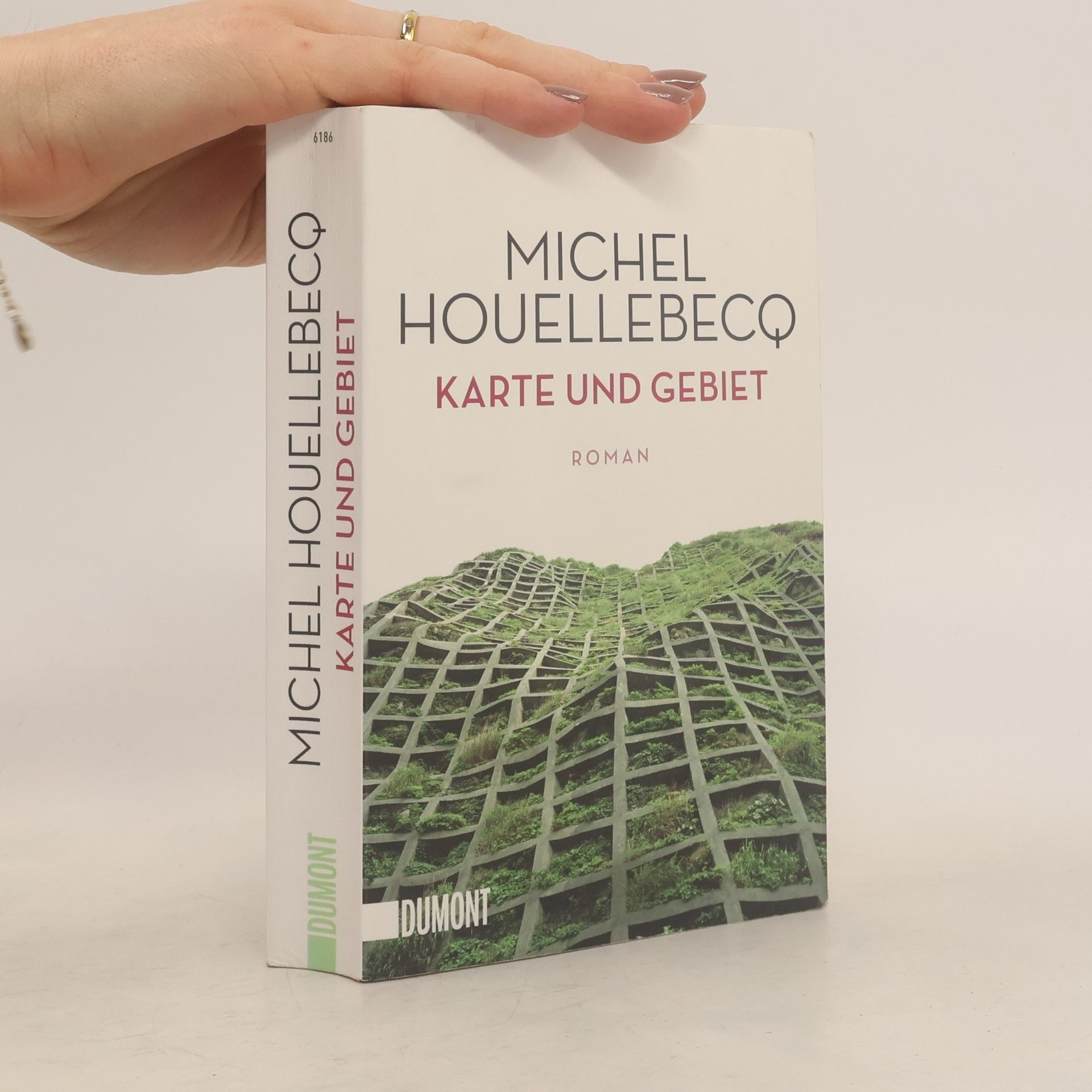 Michel Houellebecq Karte und Gebiet