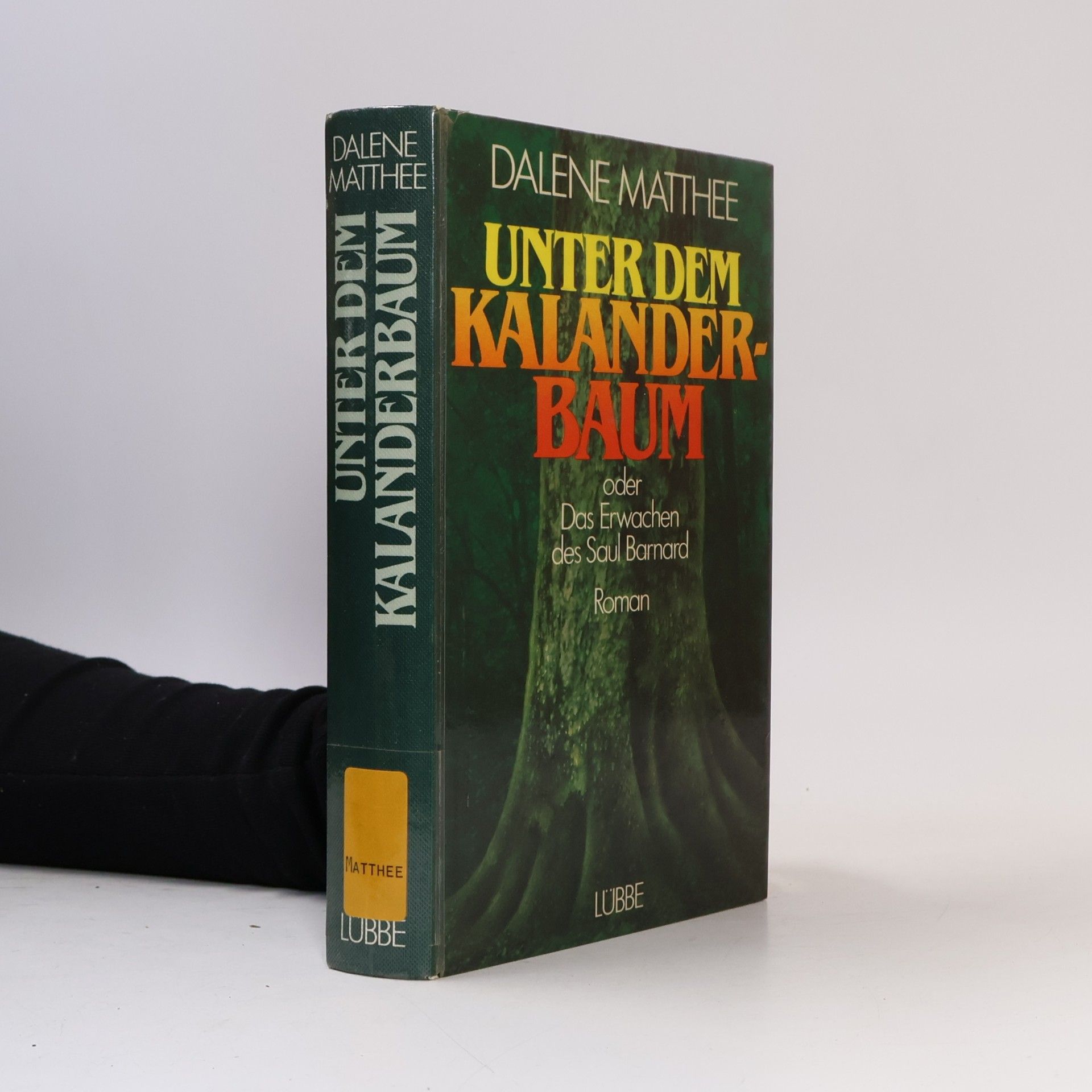 Dalene Matthee Unter dem Kalanderbaum