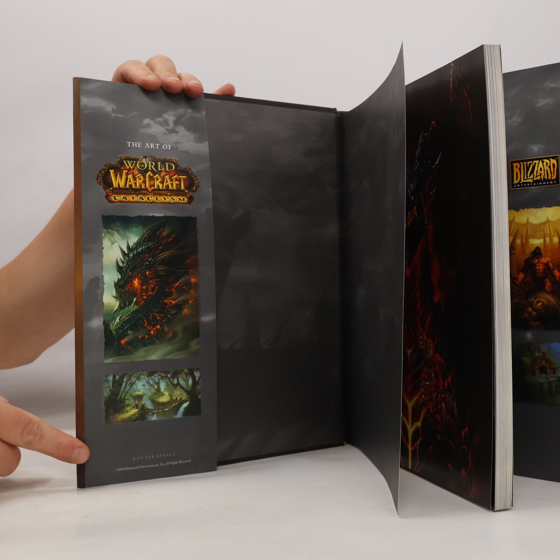 Autorenkollektiv The Art of World of Warcraft. Cataclysm