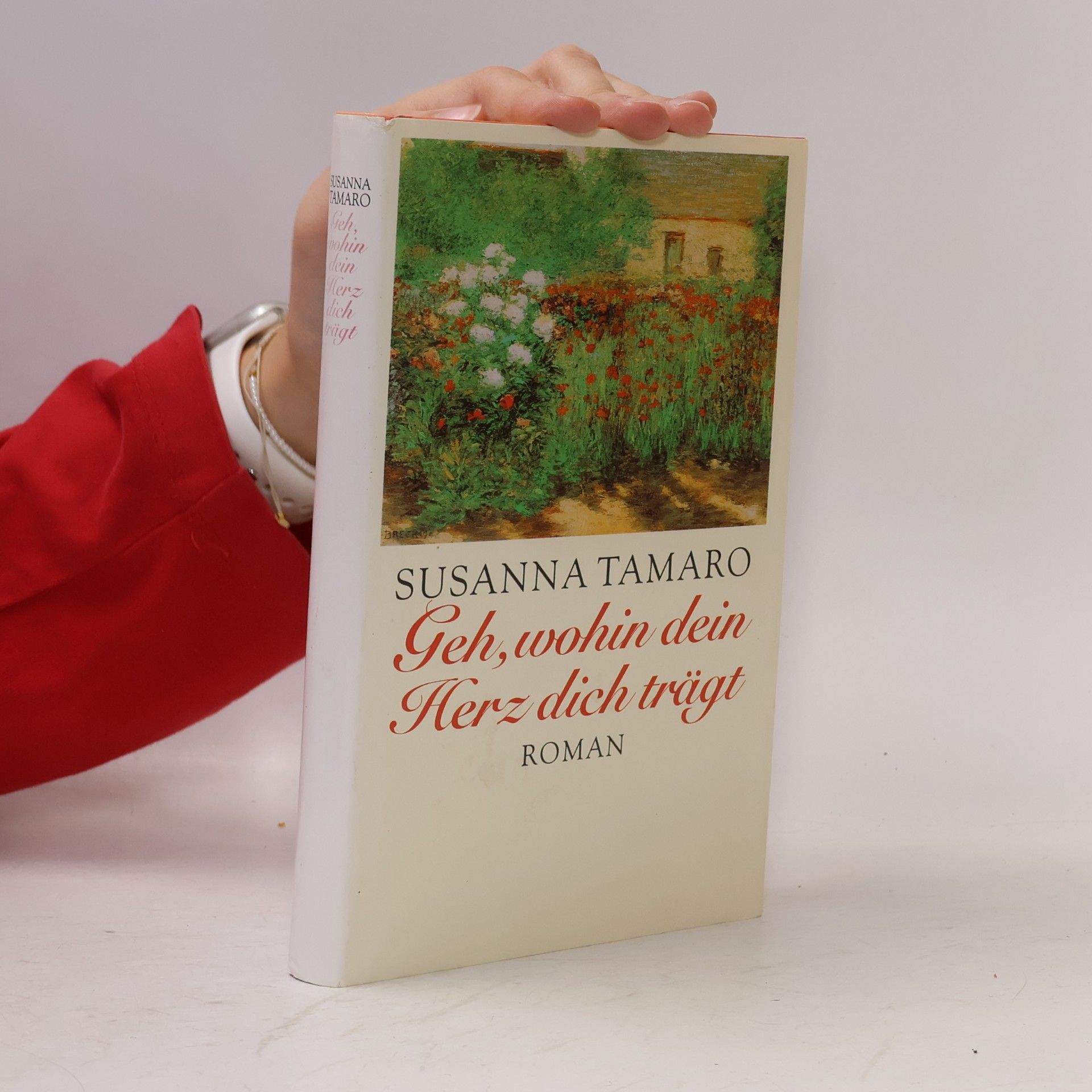 Susanna Tamaro Geh, wohin dein Herz dich trägt