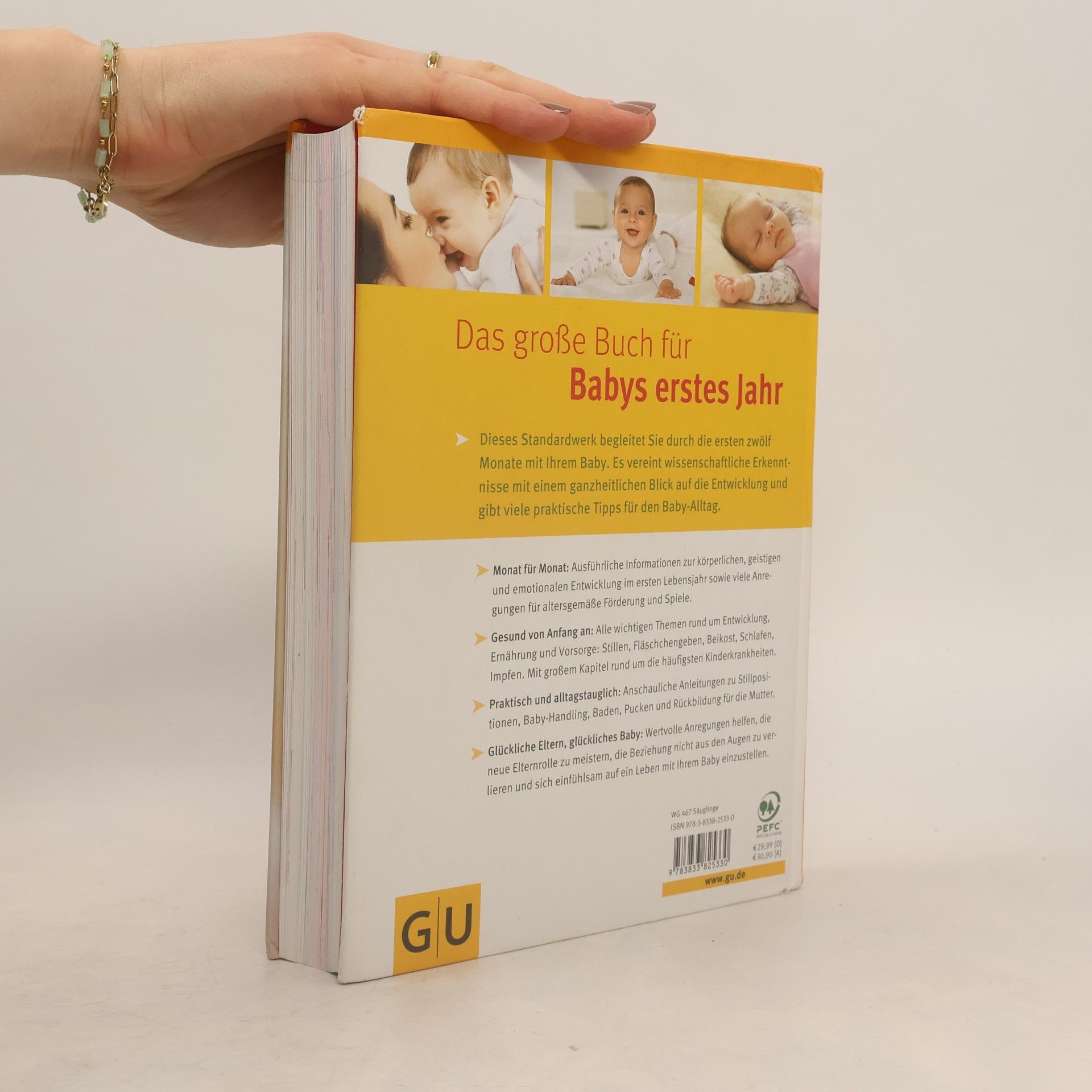 Stephan Heinrich Nolte Das große Buch für Babys erstes Jahr