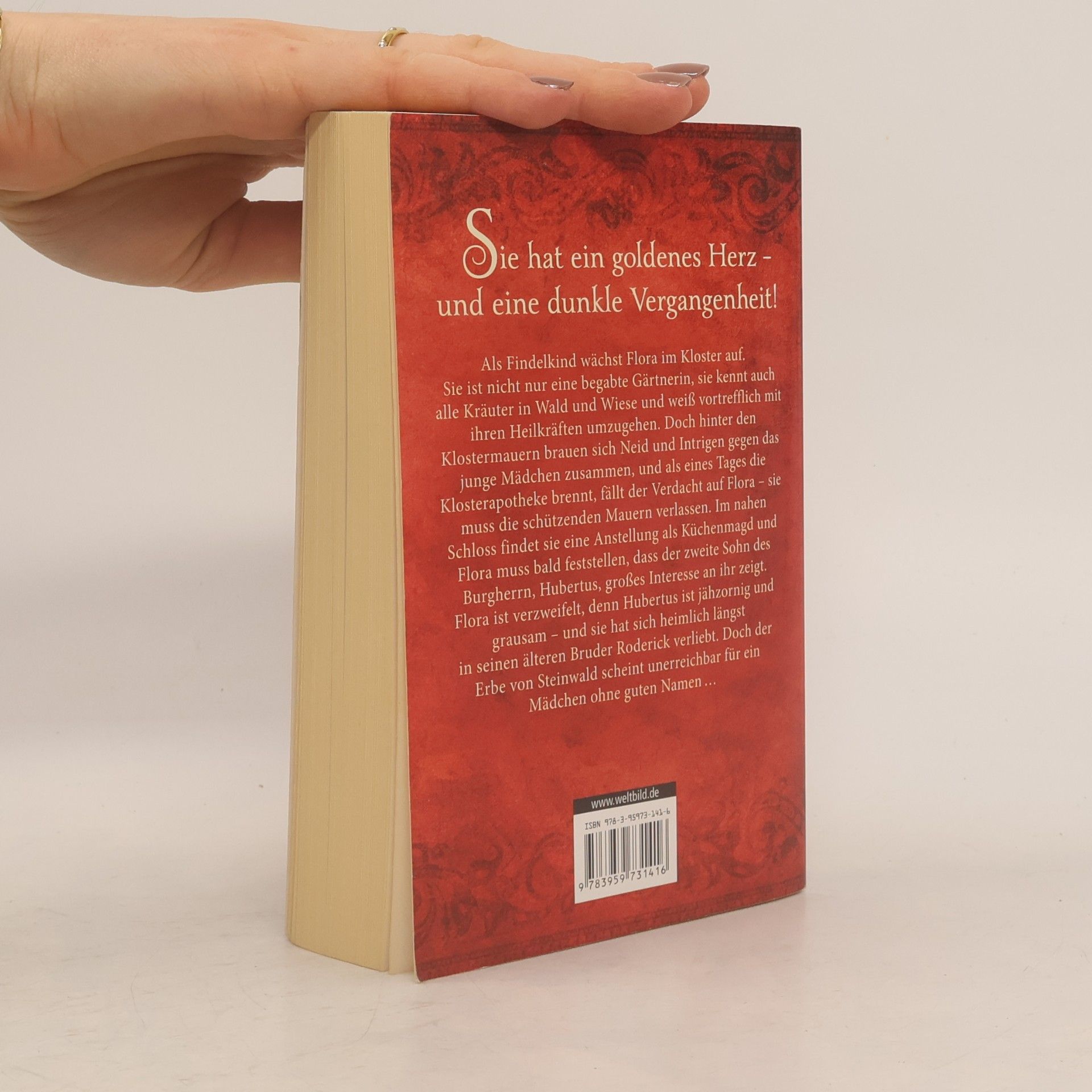 Ines Thorn Die Heilerin von Steinwald