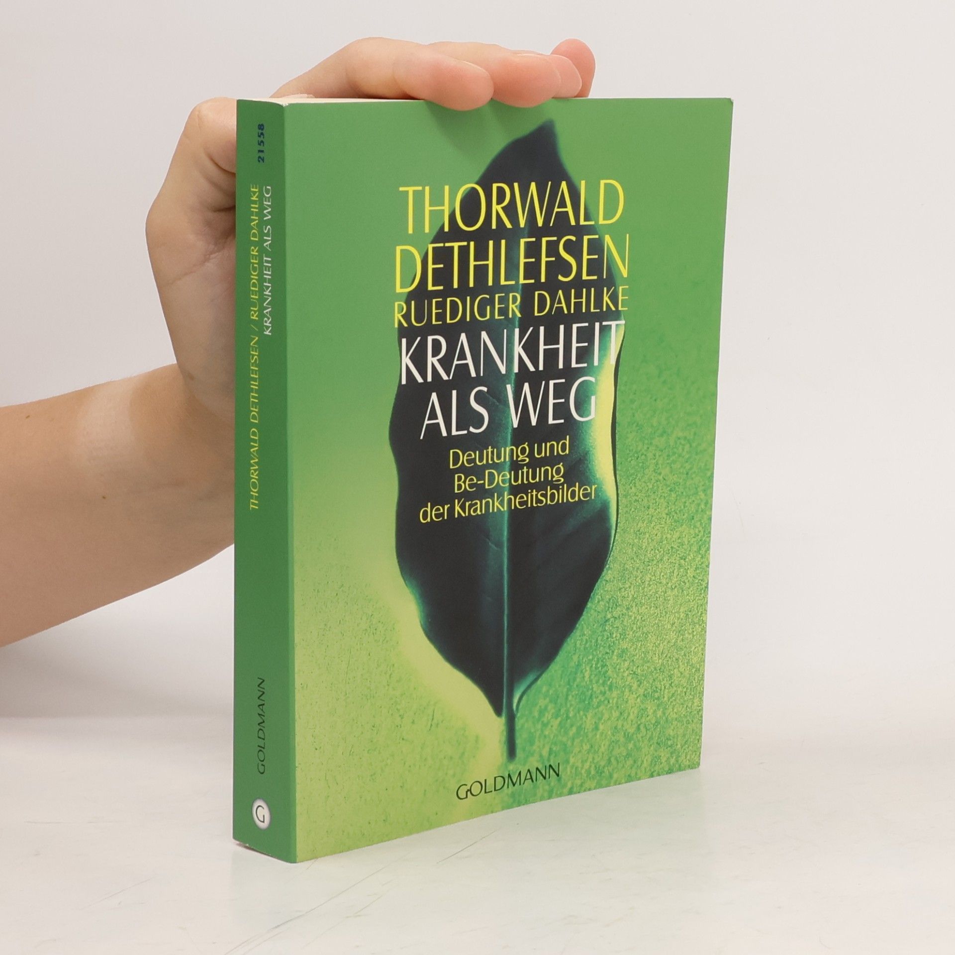 Thorwald Dethlefsen Krankheit als Weg