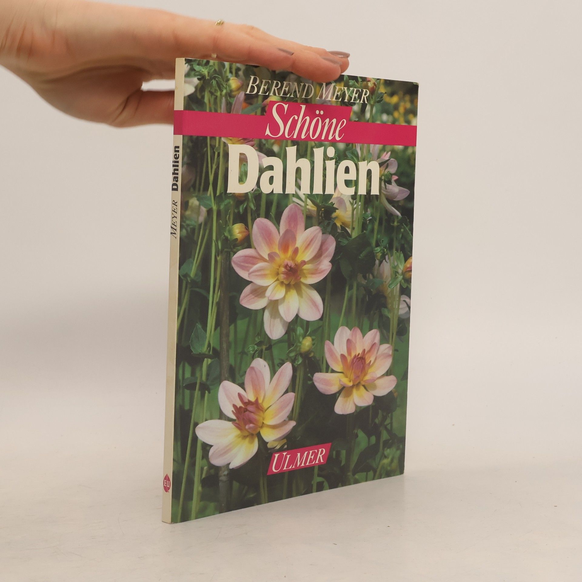 Berend Meyer Schöne Dahlien