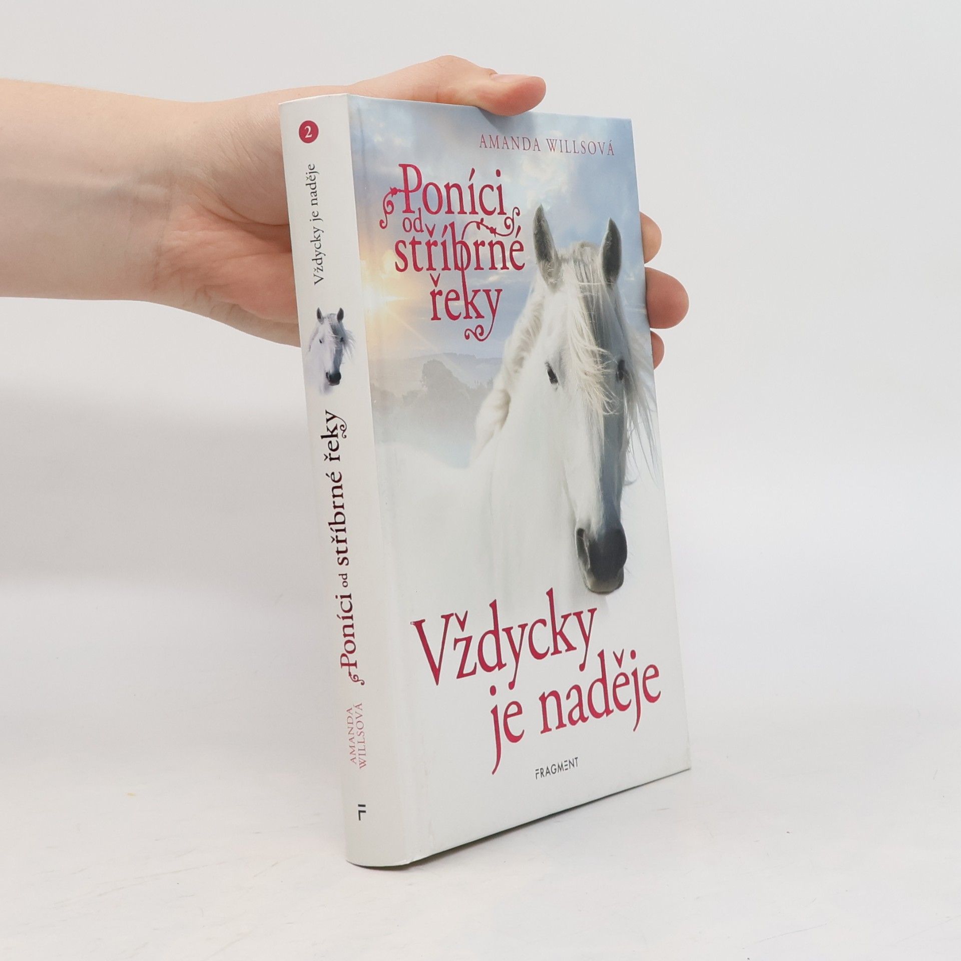 Amanda Wills Vždycky je naděje