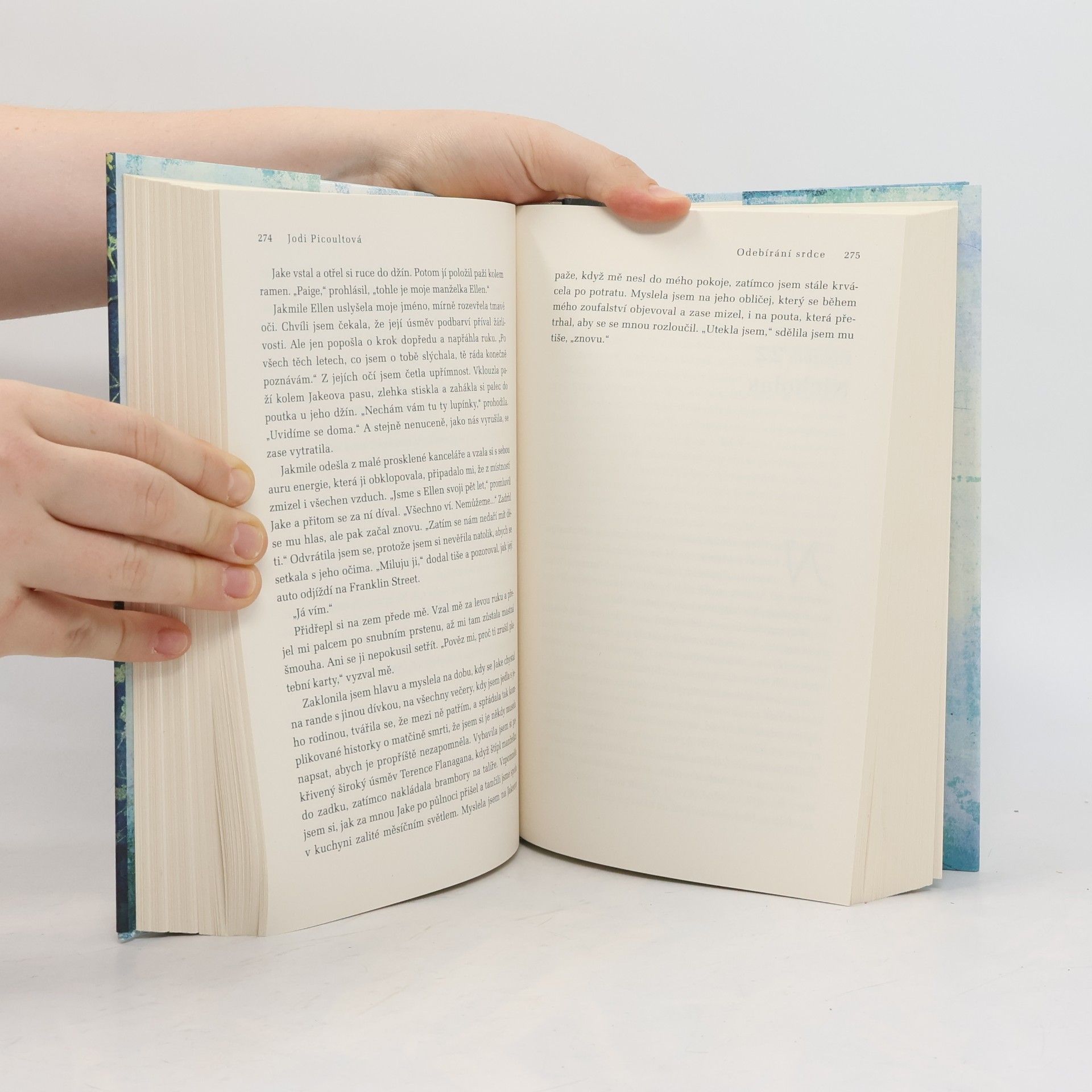 Jodi Picoult Odebírání srdce