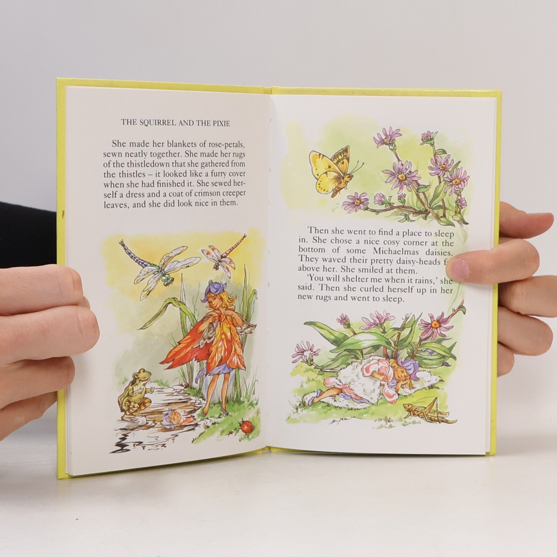 Enid Blyton Big Eyes the Enchanter / The Squirrel and the Pixie