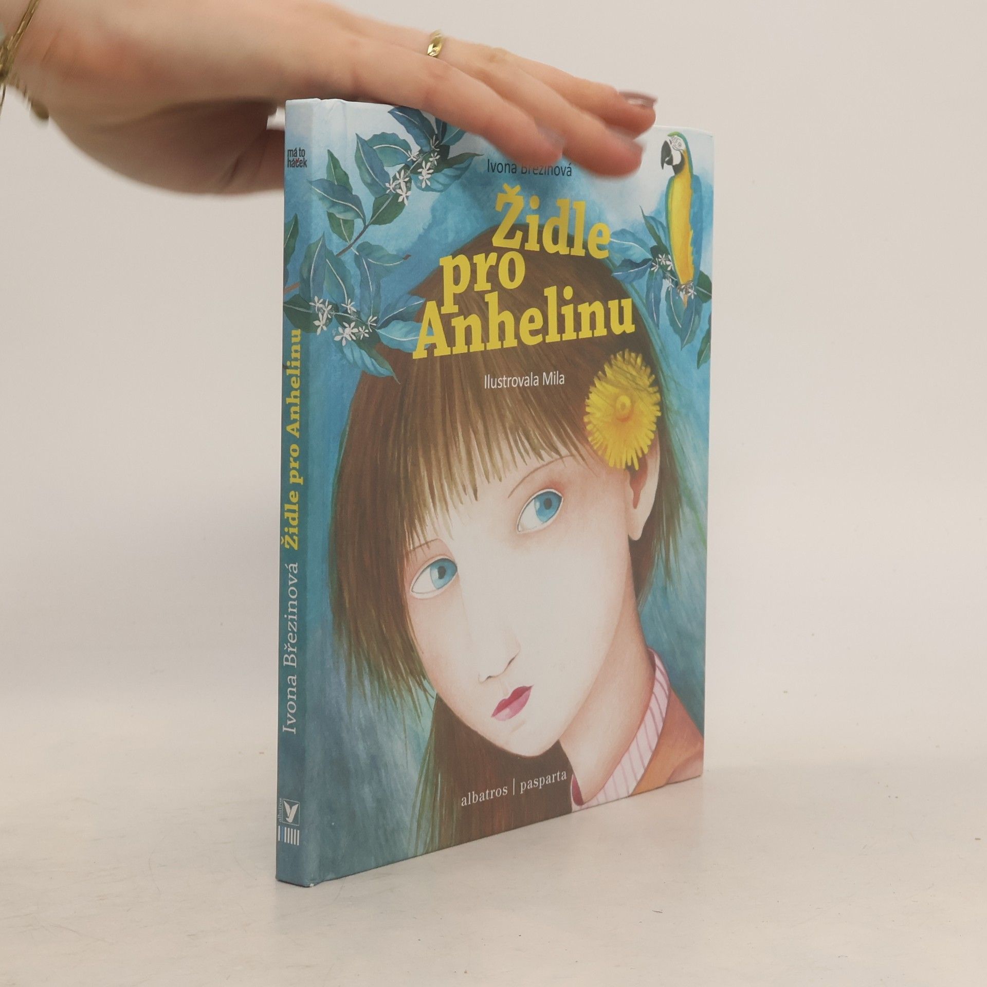 Ivona Březinová Židle pro Anhelinu