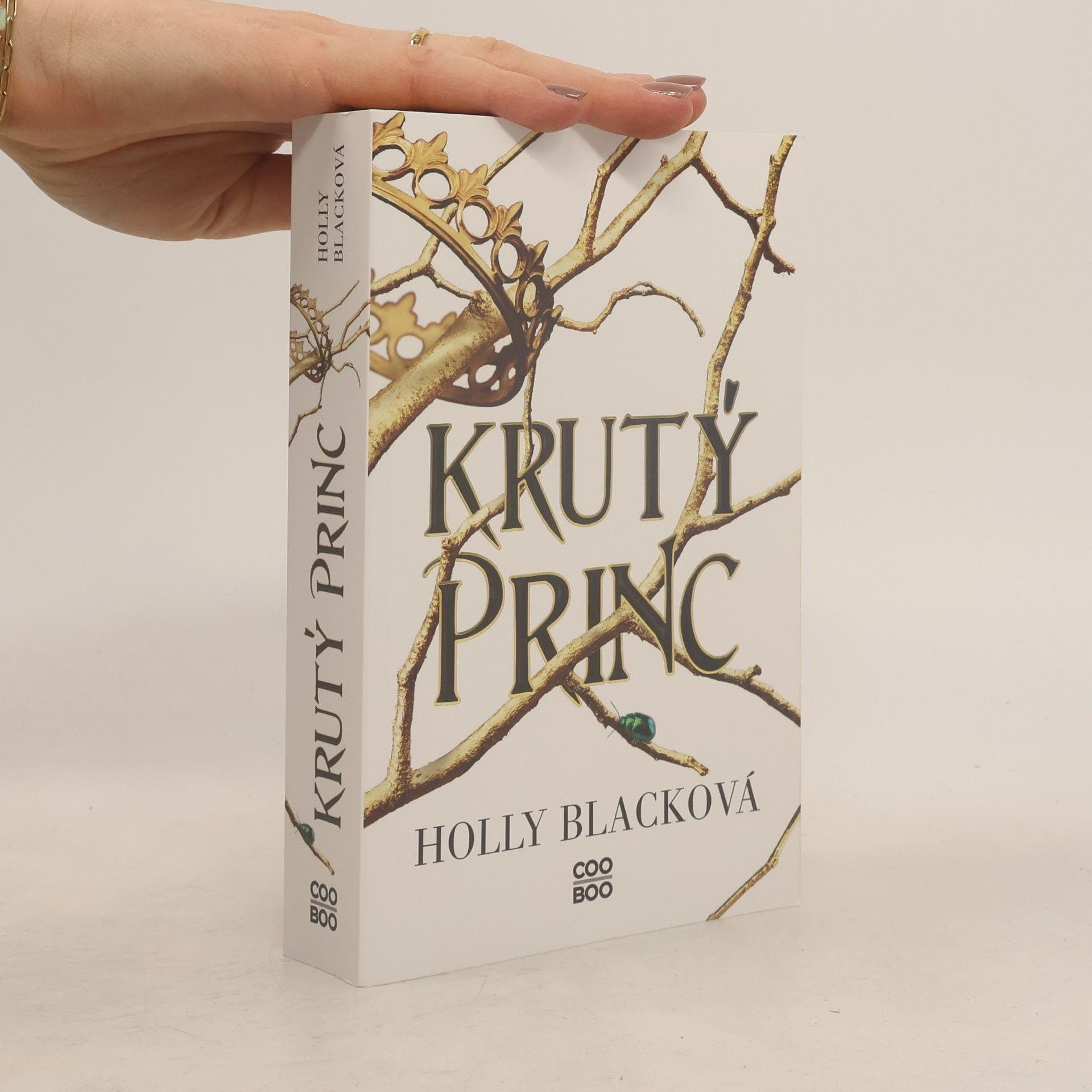 Holly Black Krutý princ