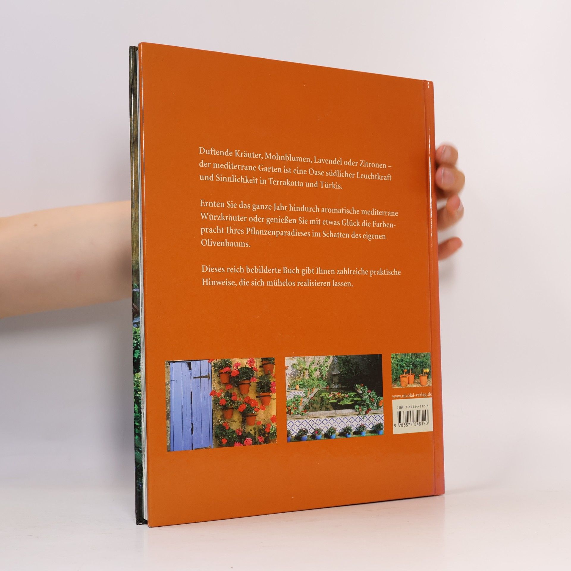 Pattie Barron Der mediterrane Garten