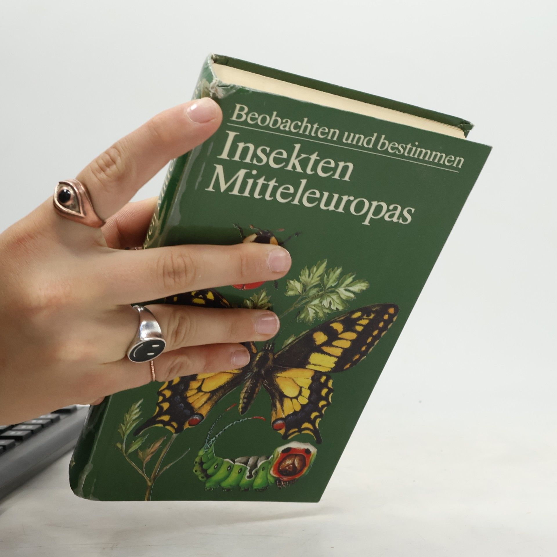 Ulrich Sedlag Insekten Mitteleuropas. Beobachten und Bestimmen.