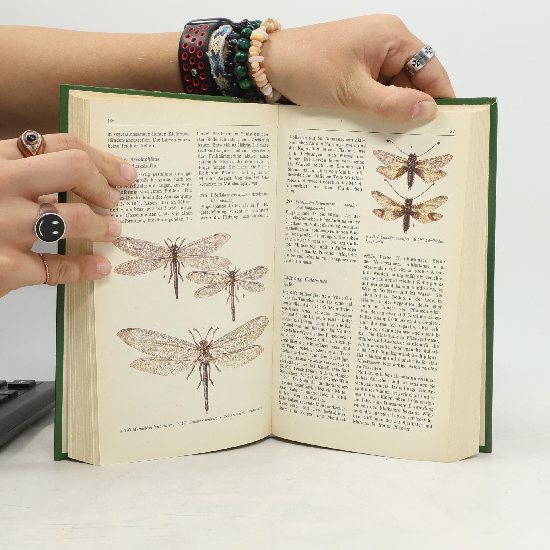 Ulrich Sedlag Insekten Mitteleuropas. Beobachten und Bestimmen.