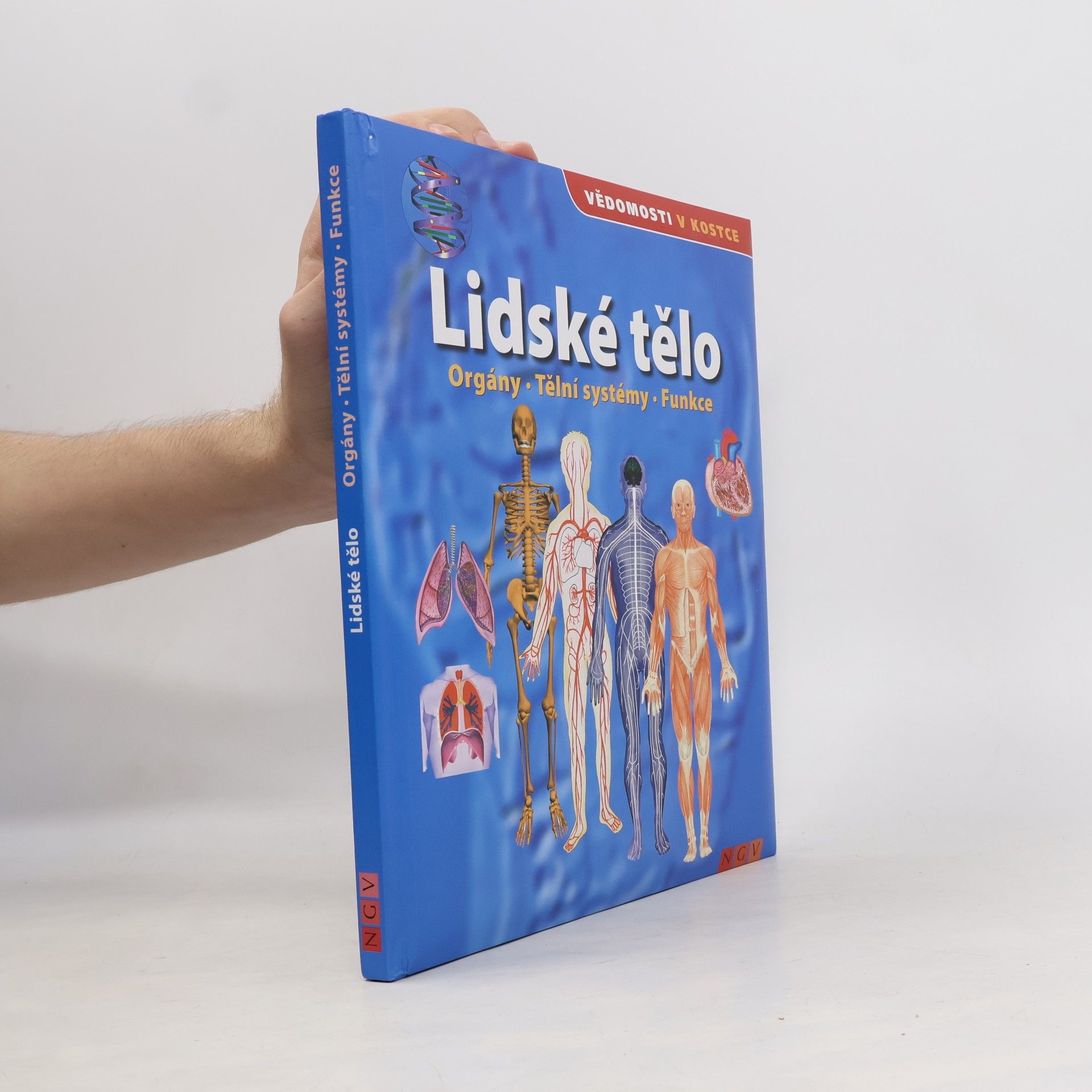 Autorenkollektiv Lidské tělo. Orgány. Tělní systémy. Funkce