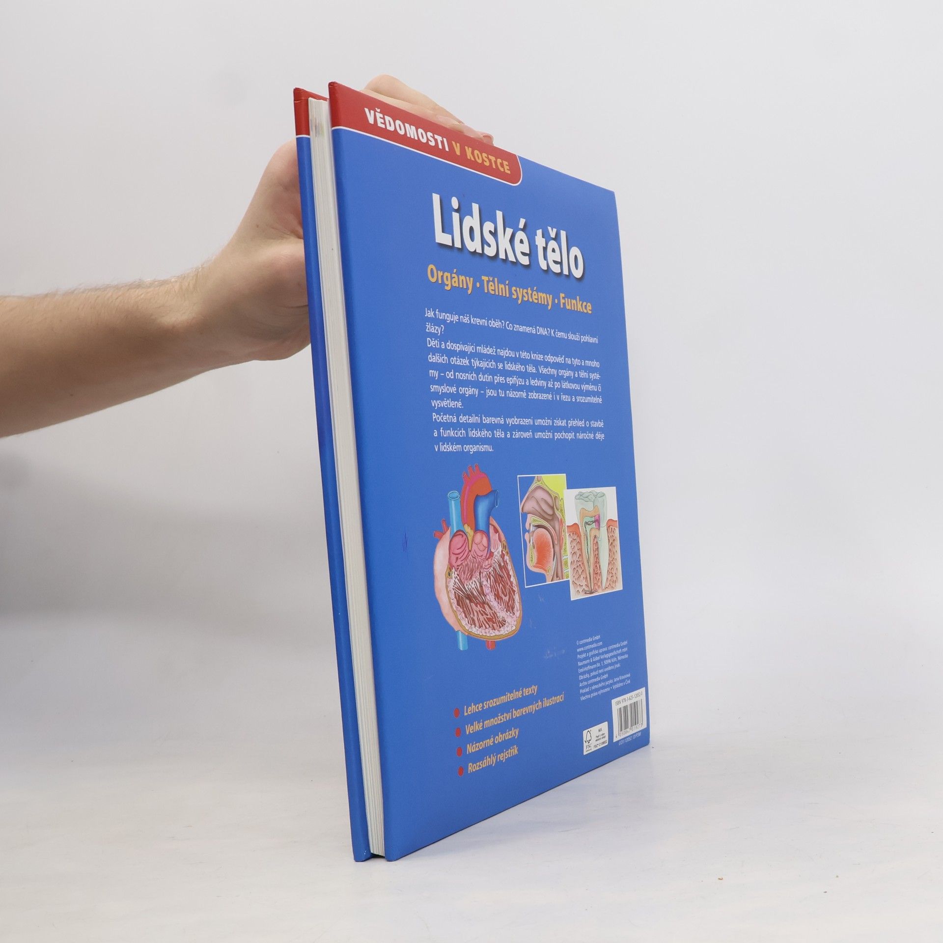 Autorenkollektiv Lidské tělo. Orgány. Tělní systémy. Funkce