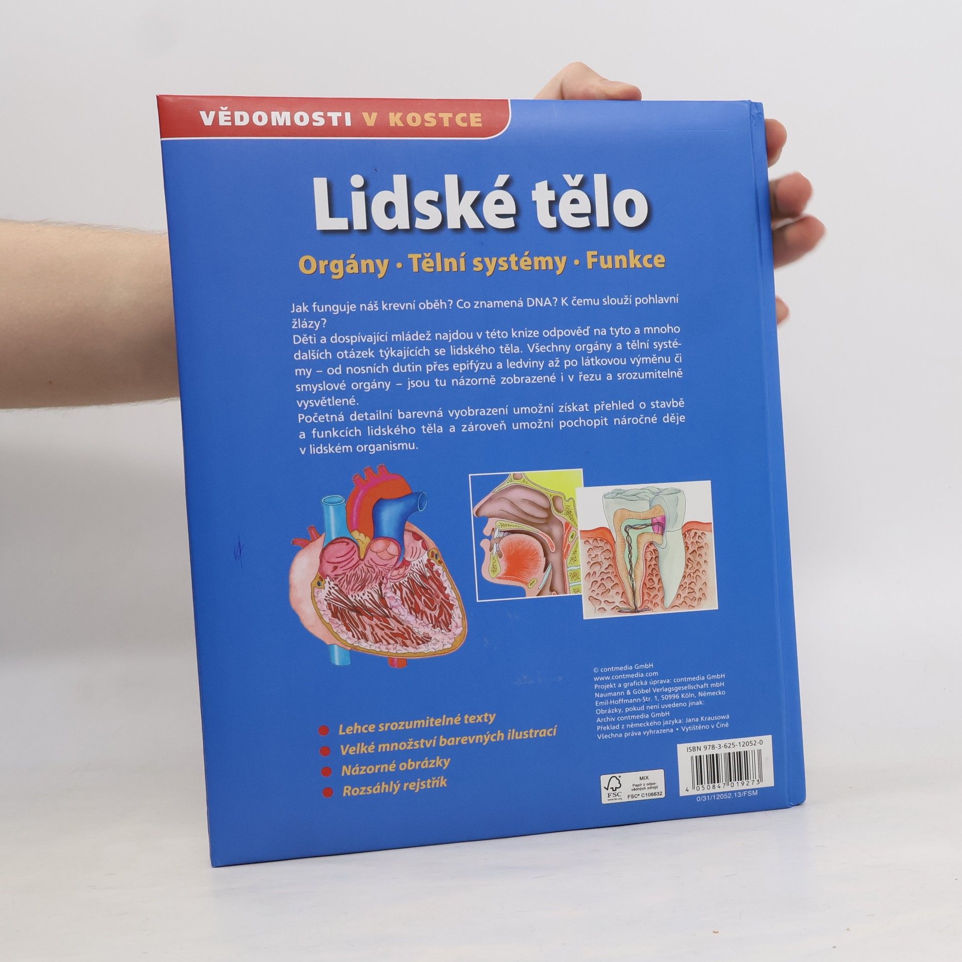 Autorenkollektiv Lidské tělo. Orgány. Tělní systémy. Funkce