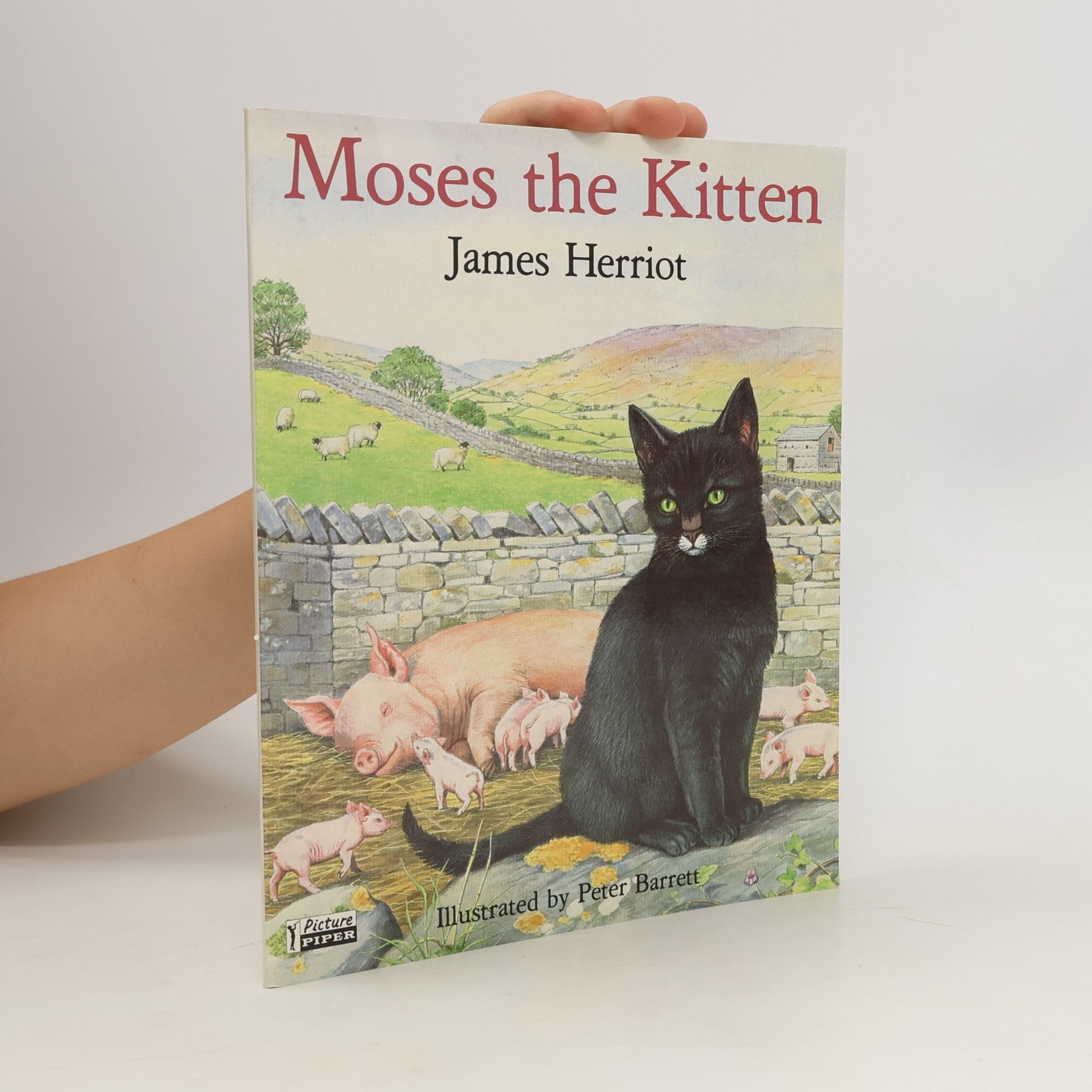 Peter Barrett Moses the Kitten