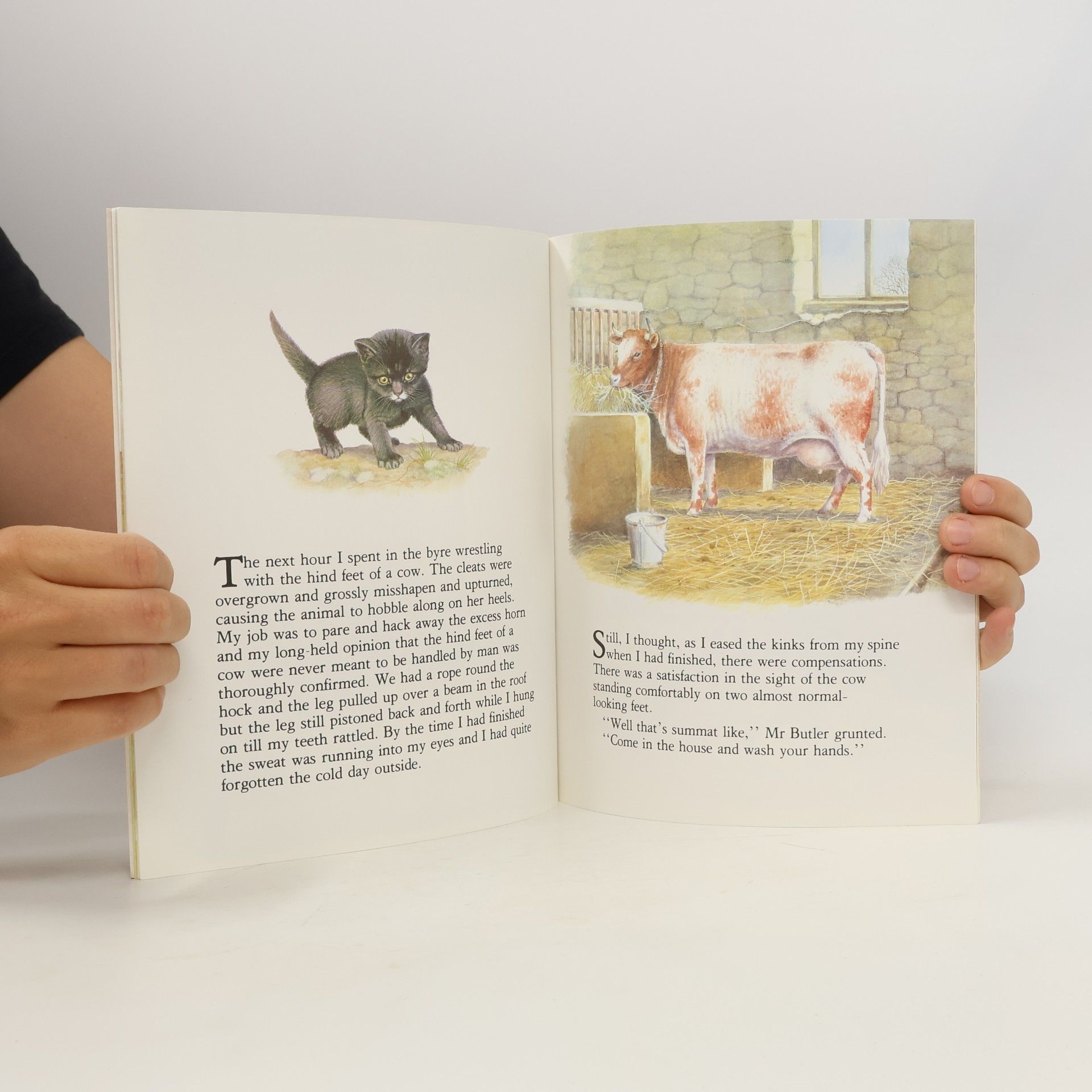 James Herriot Moses the Kitten