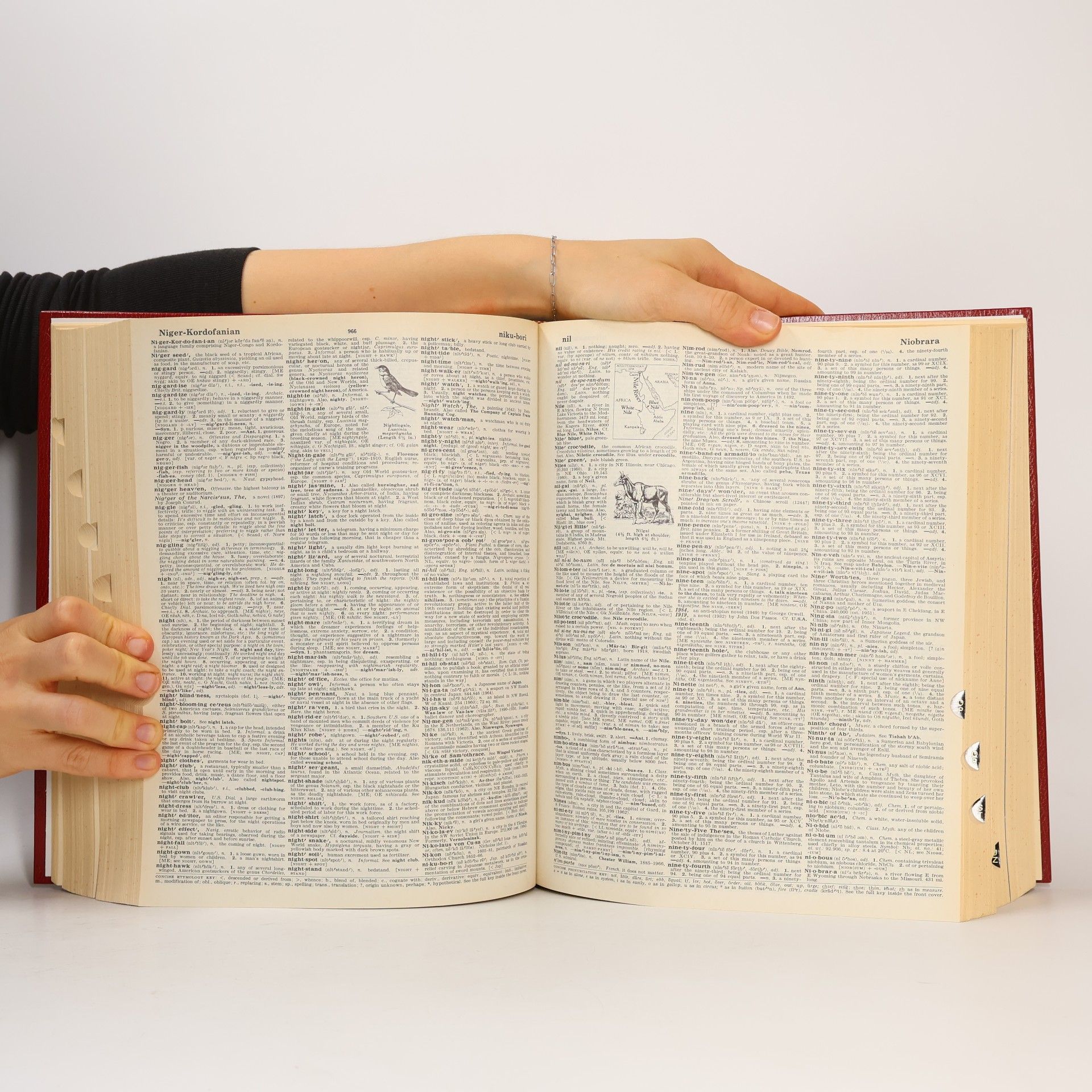 Autorenkollektiv Webster's encyclopedic unabridged dictionary of the English language