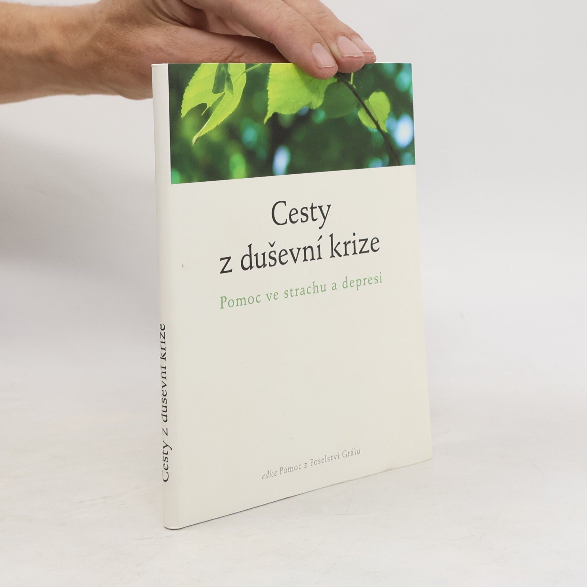 Kolektiv autorů Cesty z duševní krize : pomoc ve strachu a depresi