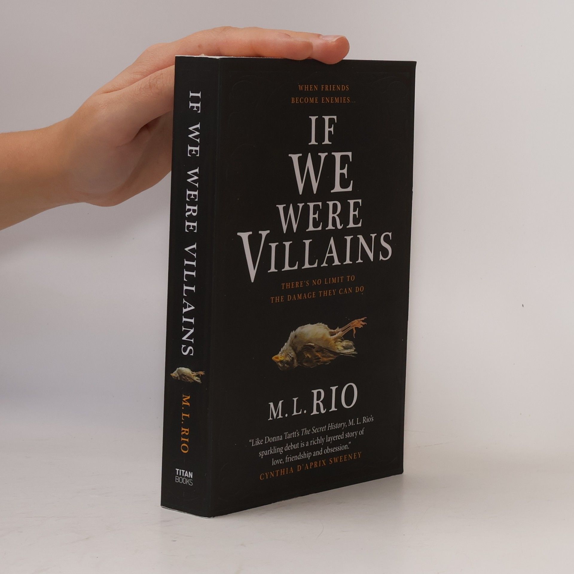 M. L. Rio If We Were Villains