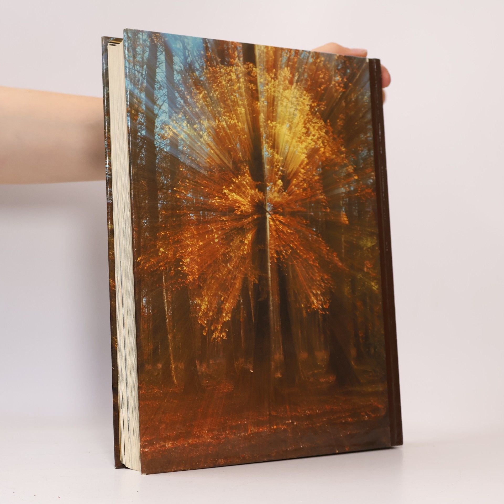 Various authors Joy of Nature