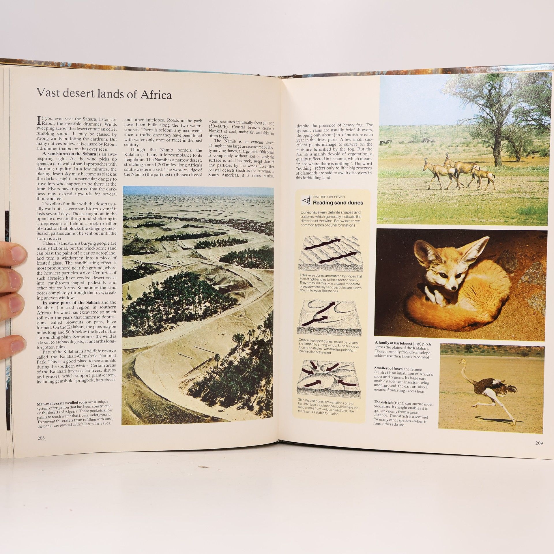 Various authors Joy of Nature