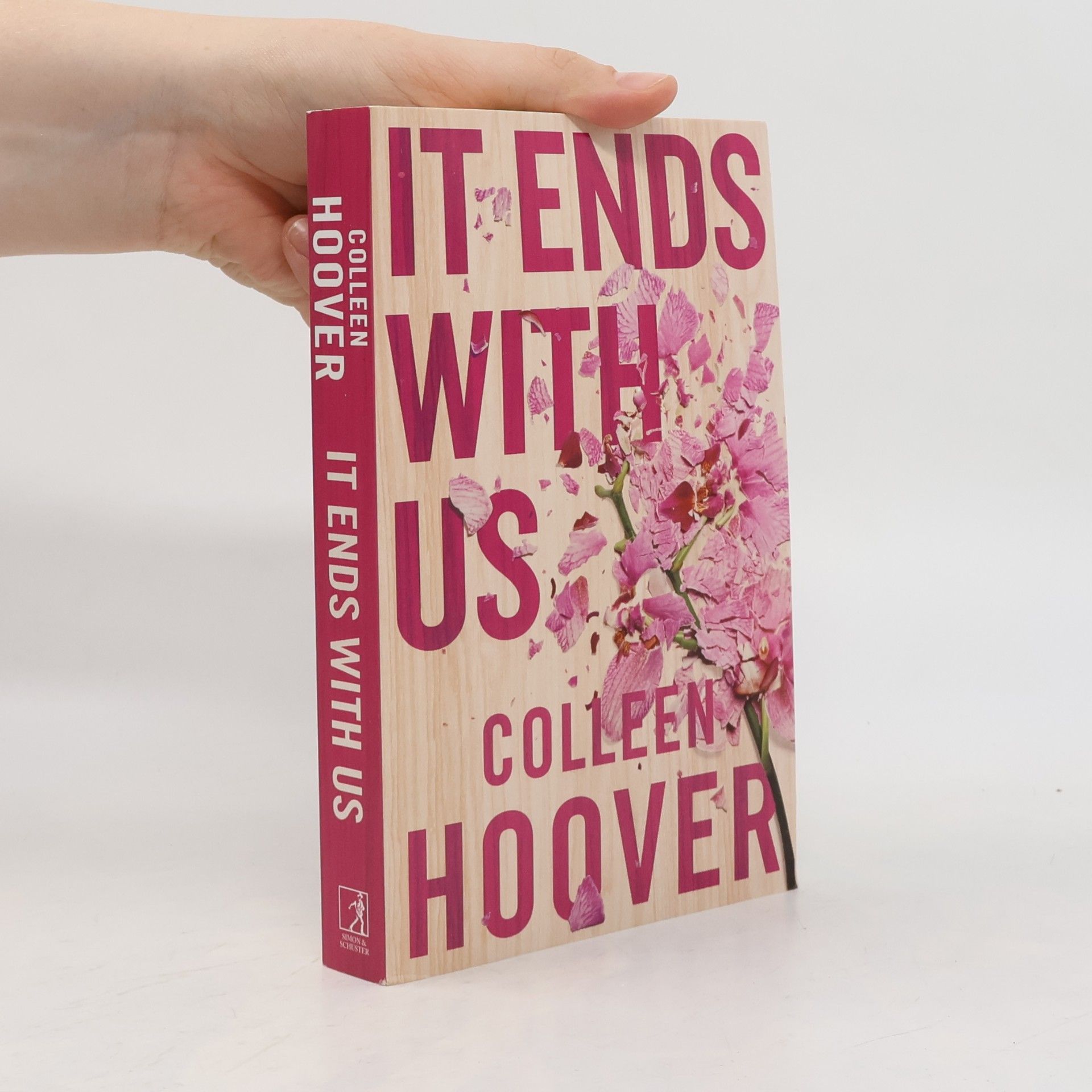 Colleen Hoover It Ends With Us