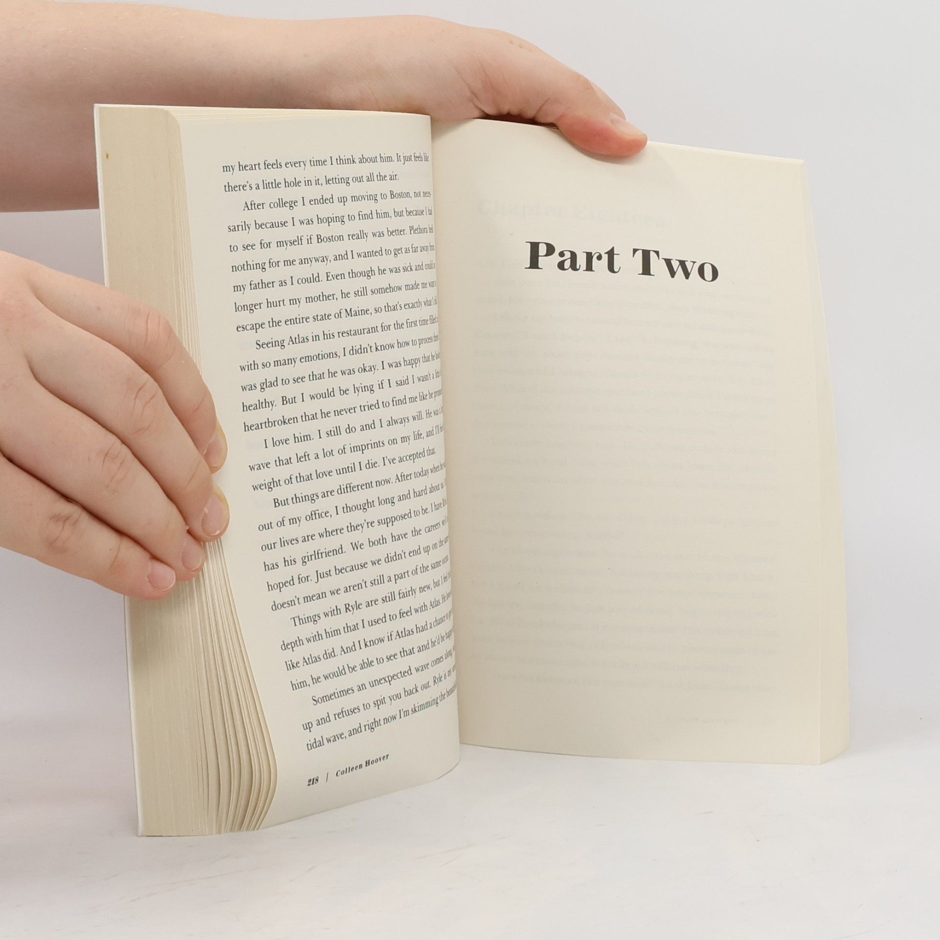 Colleen Hoover It Ends With Us