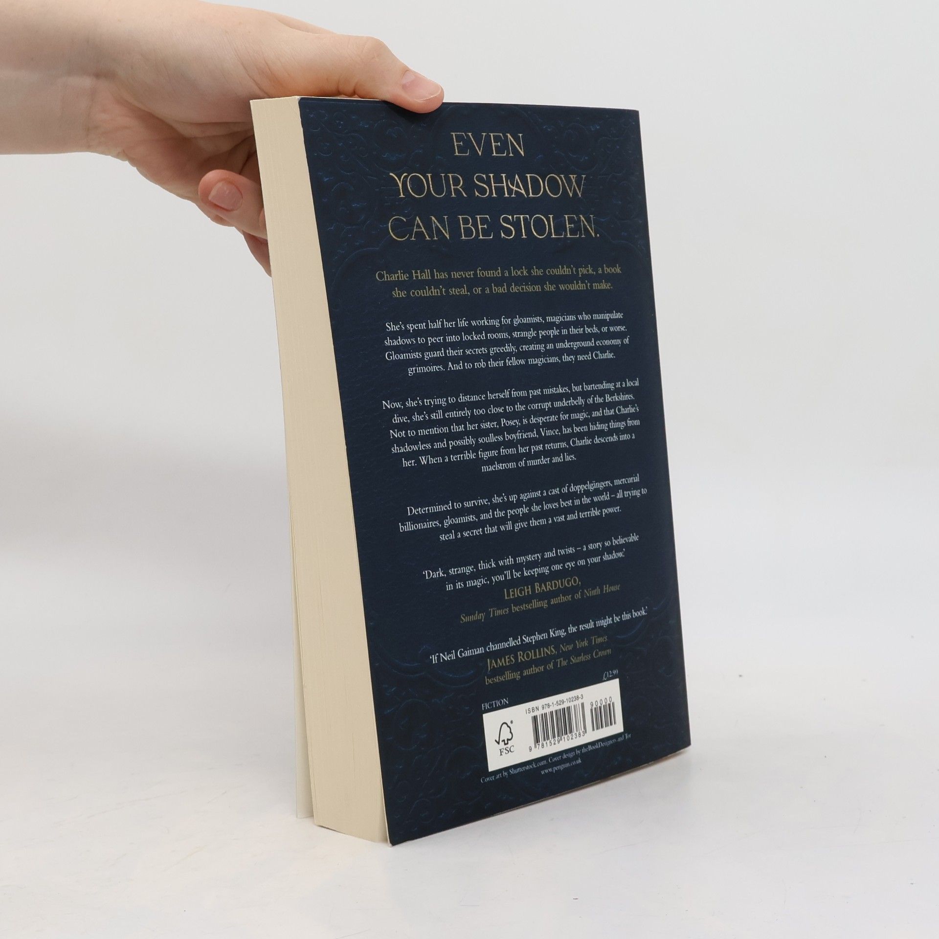 Holly Black Book of Night