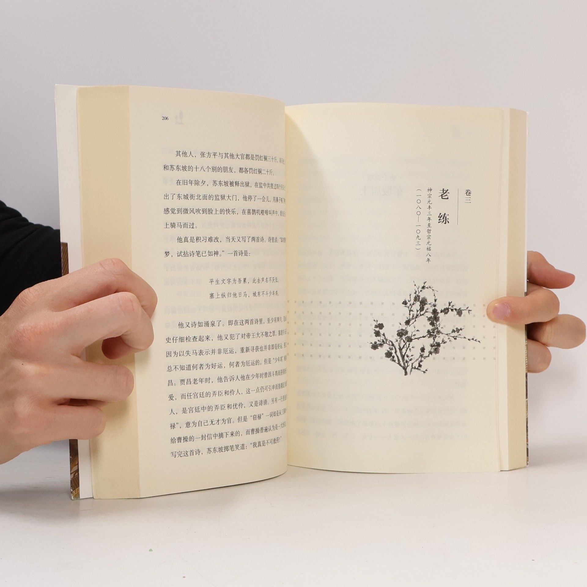 苏东坡传:青少插图版(1-9年级) 林语堂;小博集 出品; 湖南少年儿童出版社 9787556251186