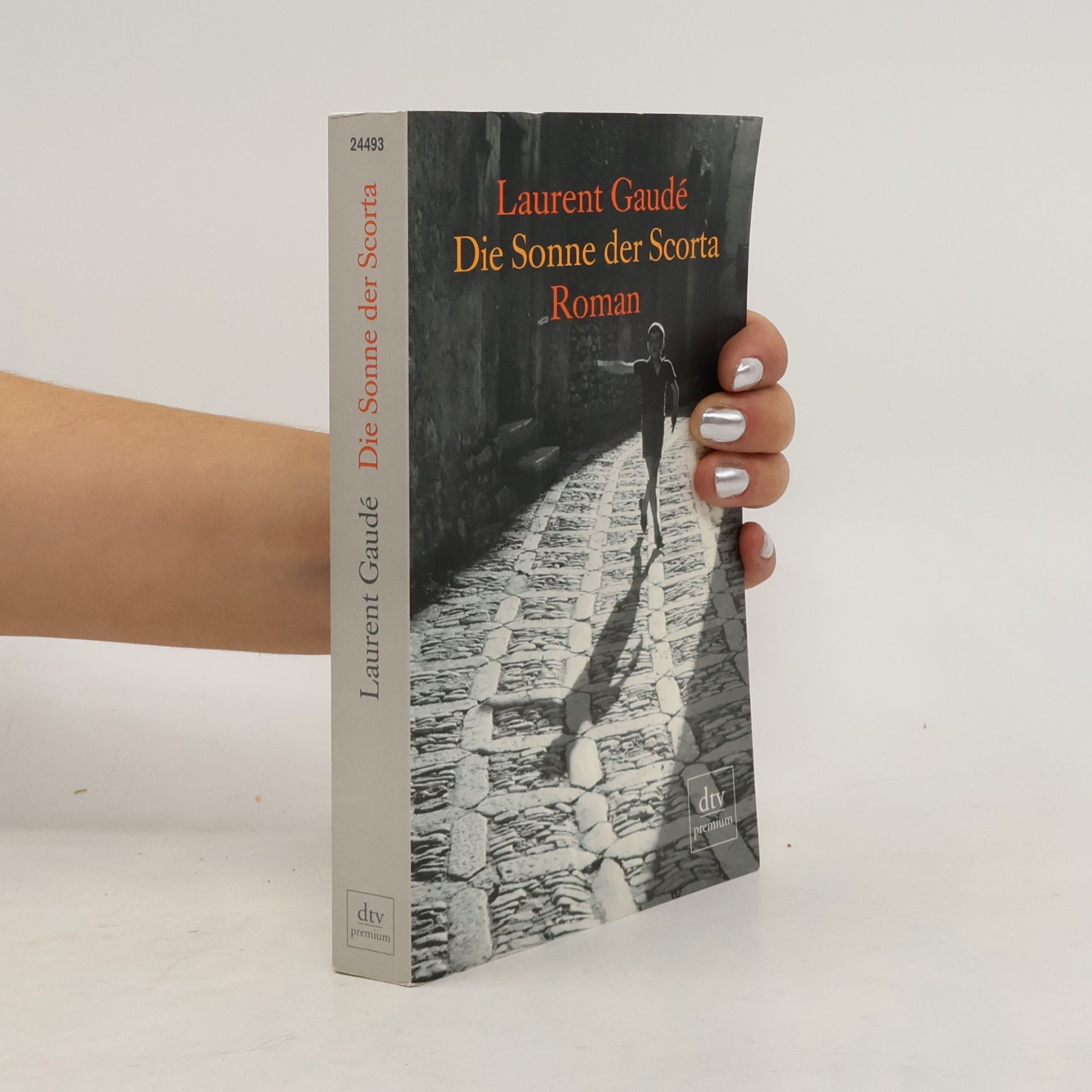 Laurent Gaudé Die Sonne der Scorta