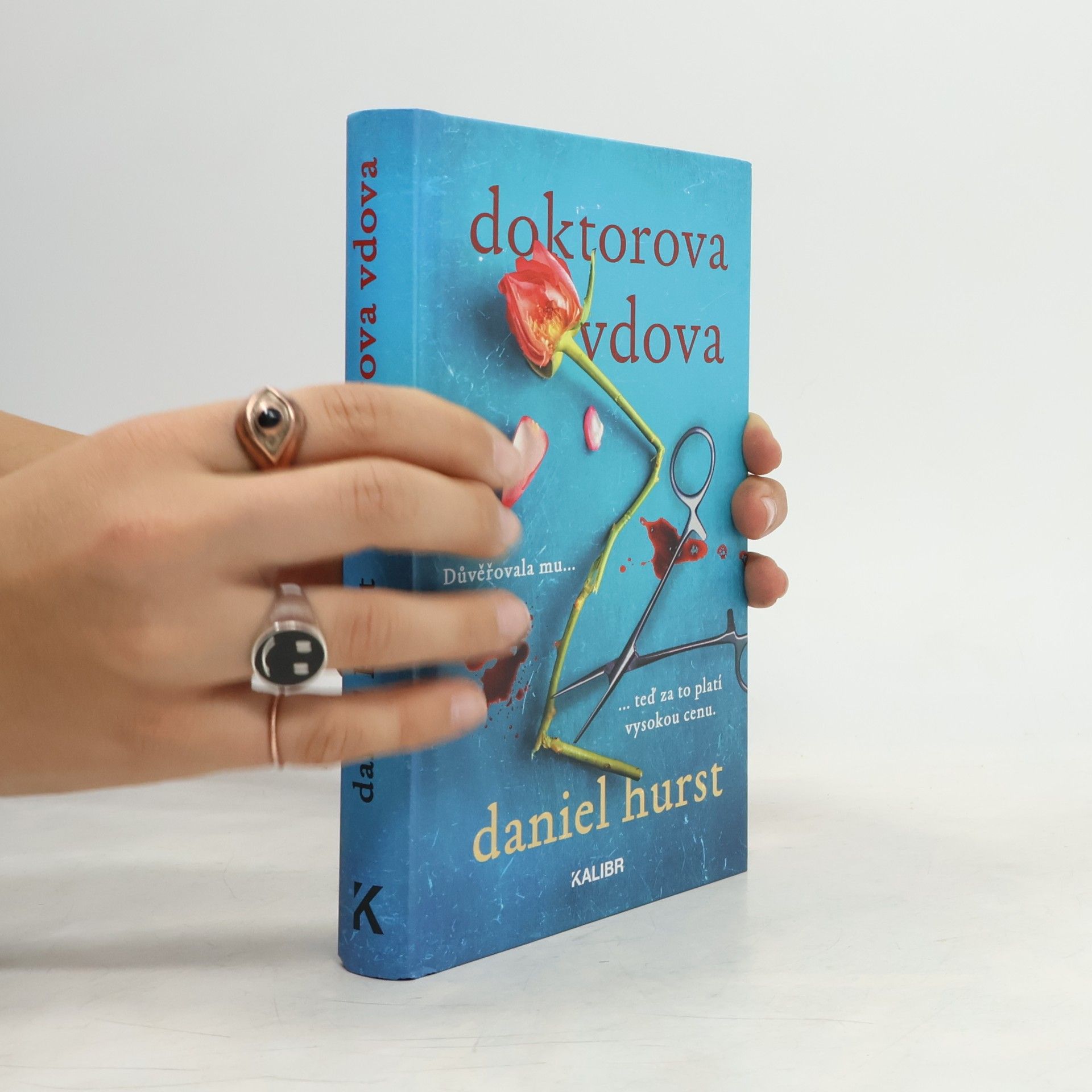 Daniel Hürst Doktorova vdova