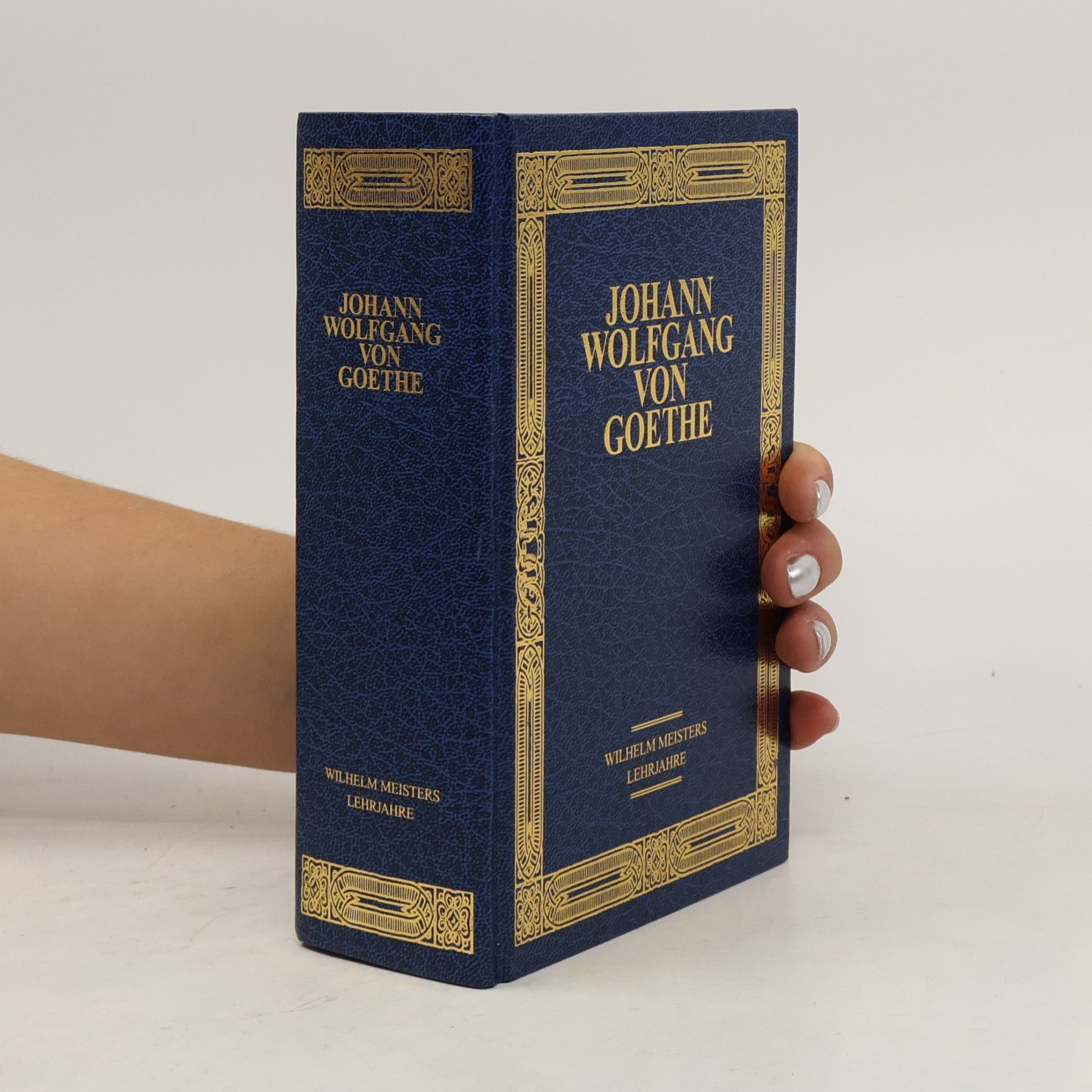 Johann Wolfgang von Goethe Romane 2