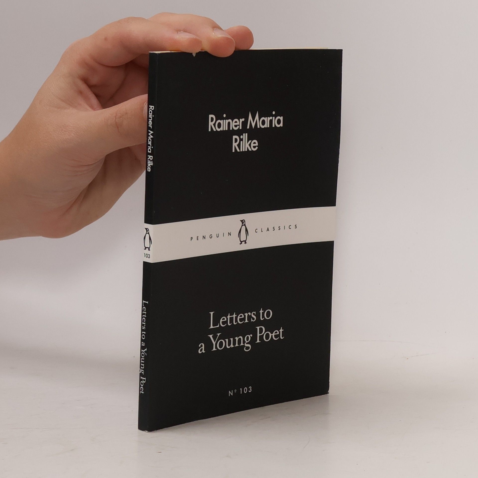 Rainer Maria Rilke Letters to a Young Poet