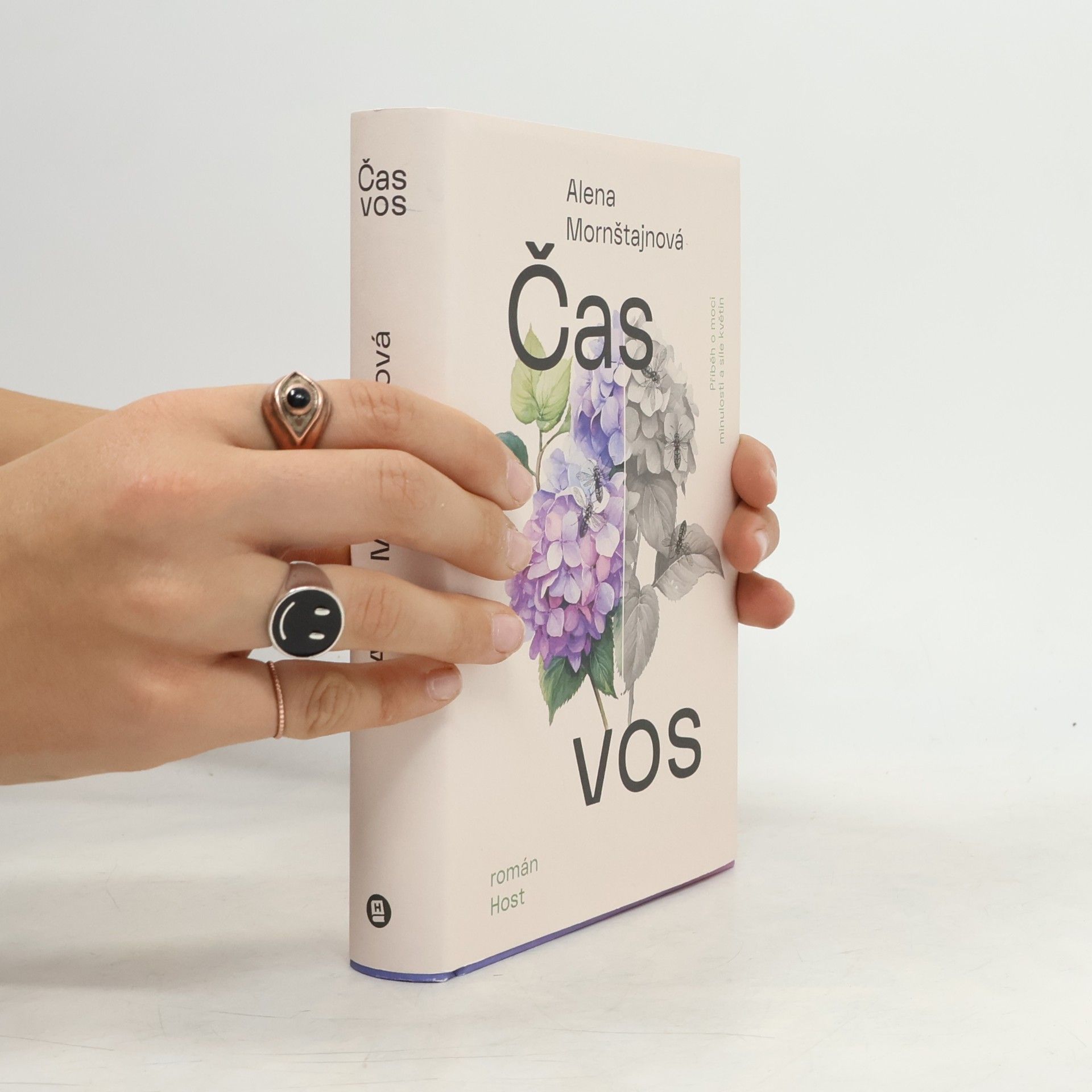 Alena Mornštajnová Čas vos