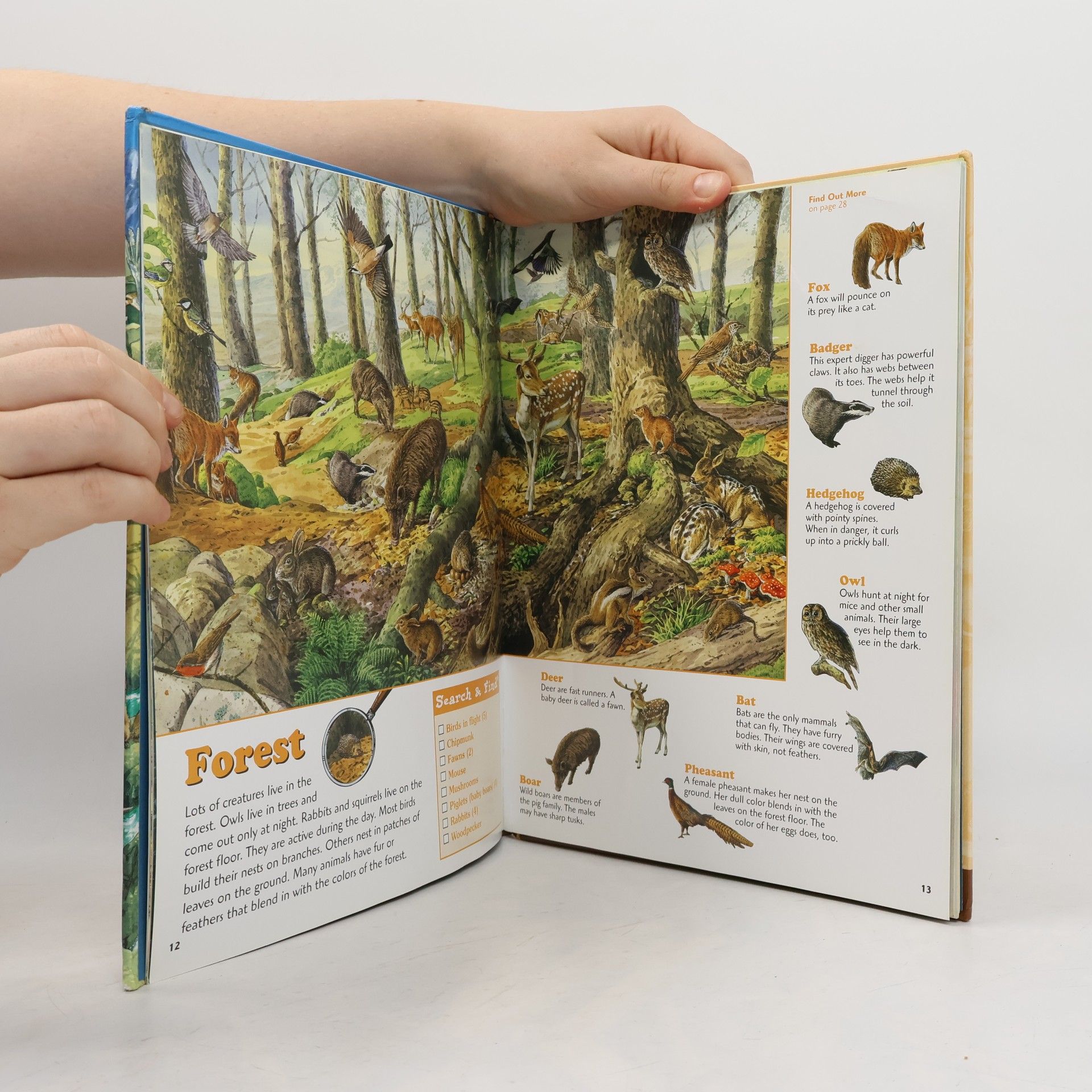 Read Search & Find: Wild Wonders