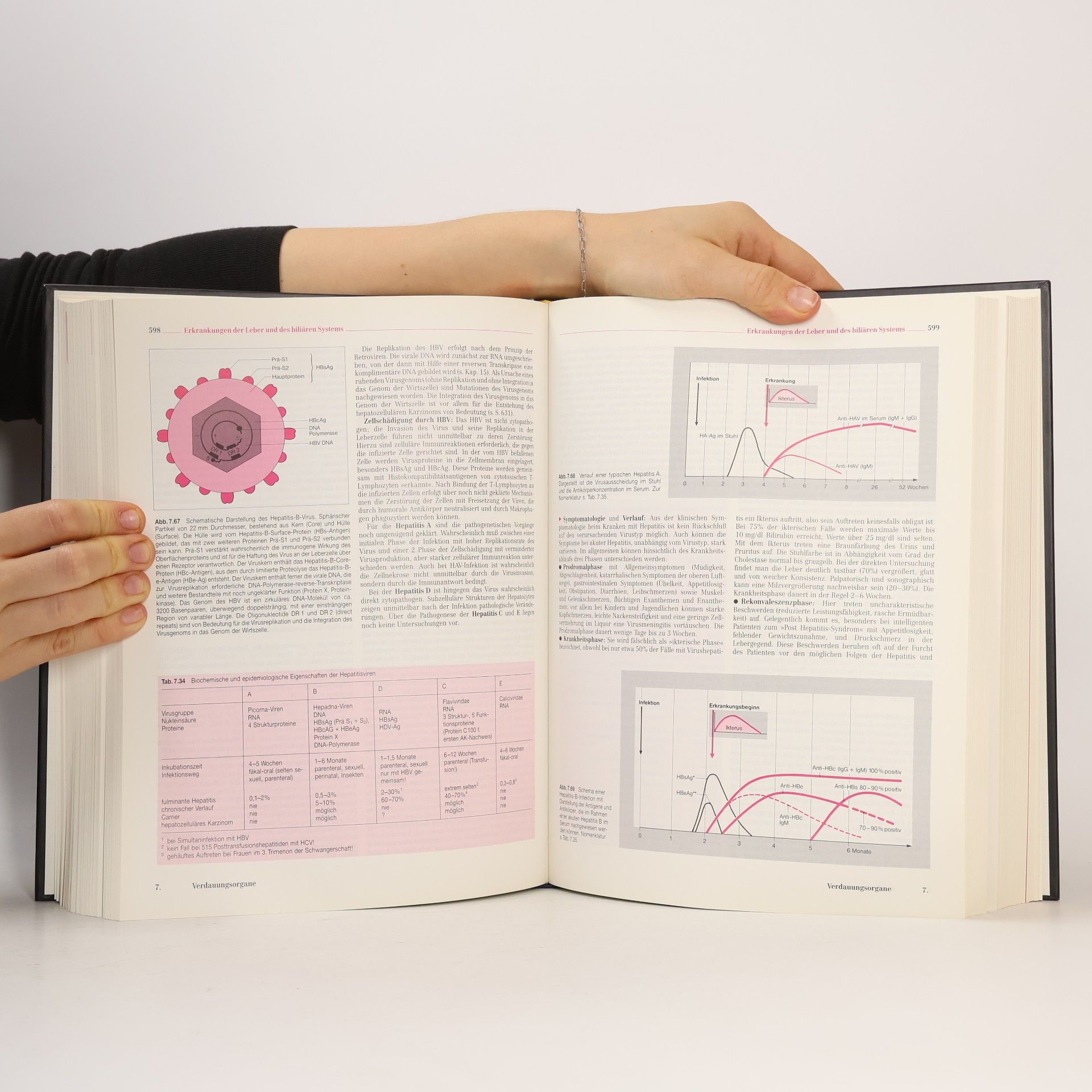 Rudolf Gross Die innere Medizin
