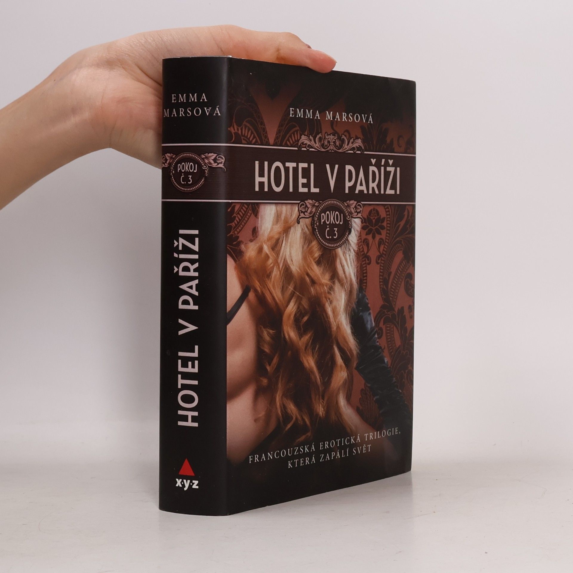 Emma Mars Hotel v Paříži. Pokoj č. 3