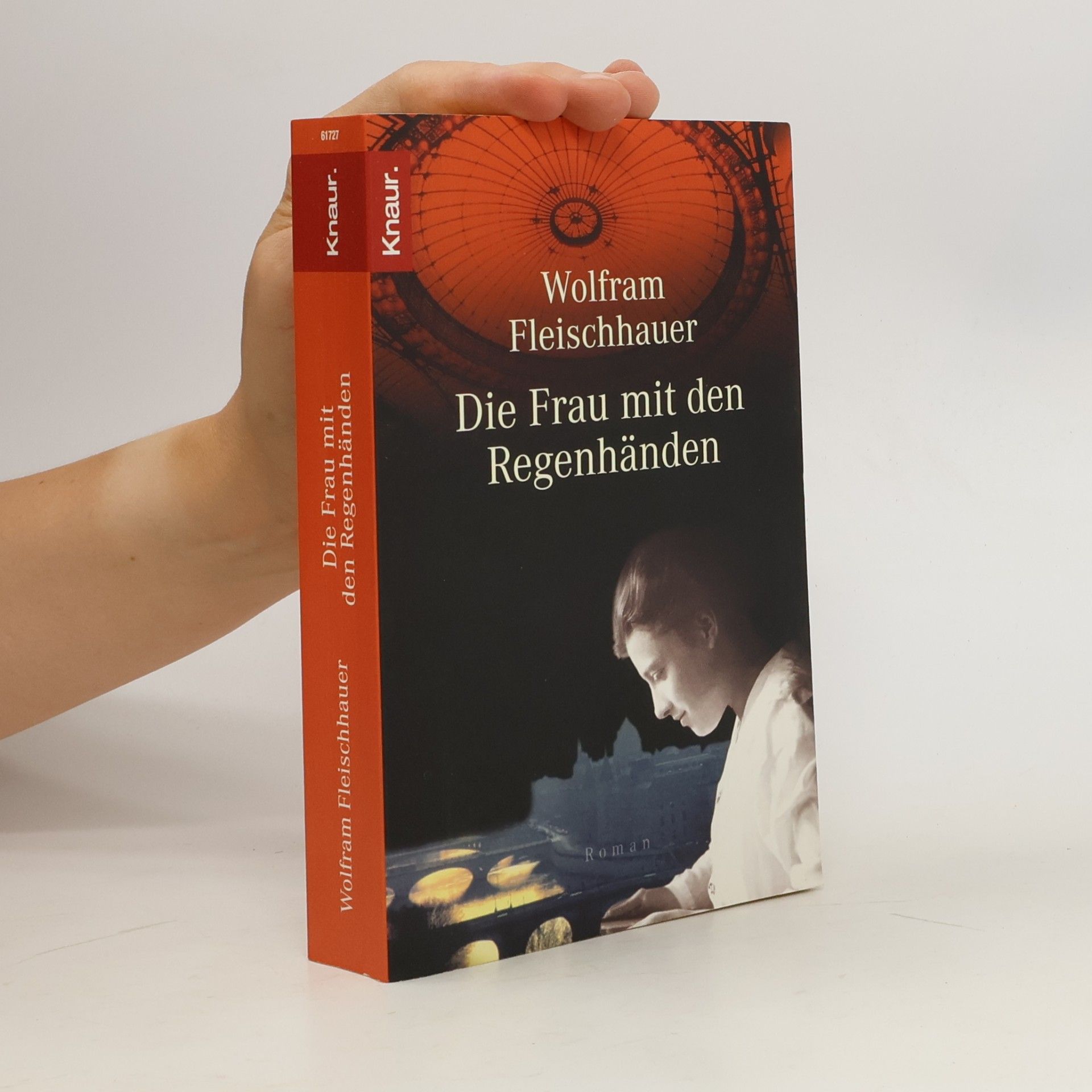 Wolfram Fleischhauer Die Frau mit den Regenhänden