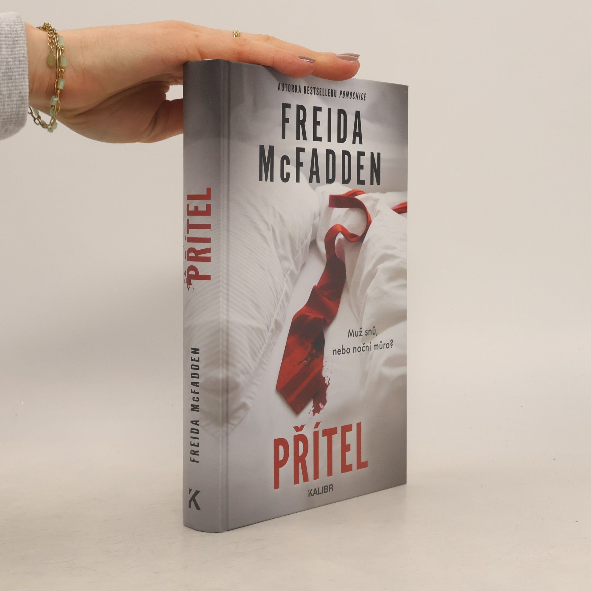 Freida McFadden Přítel