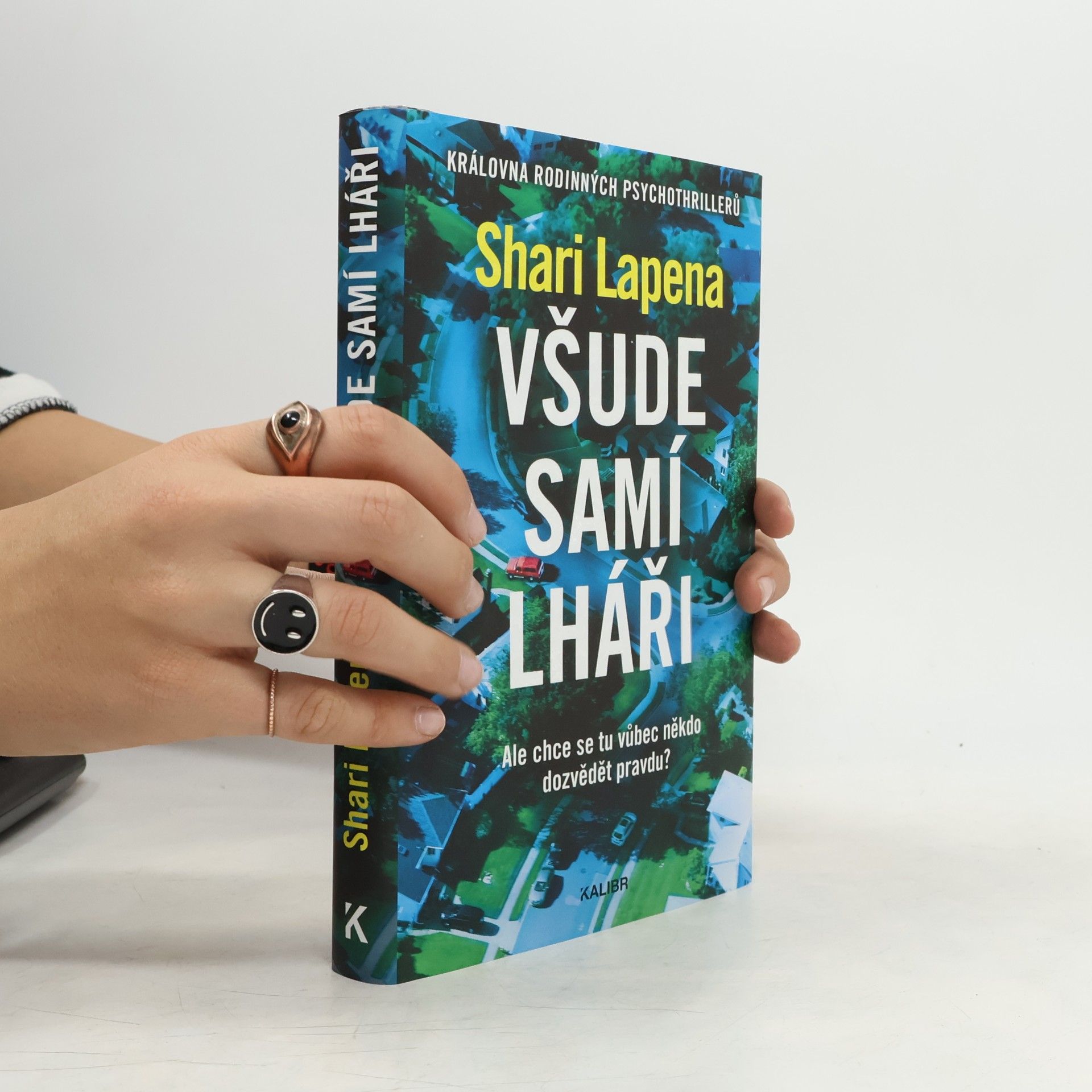 Shari Lapena Všude samí lháři