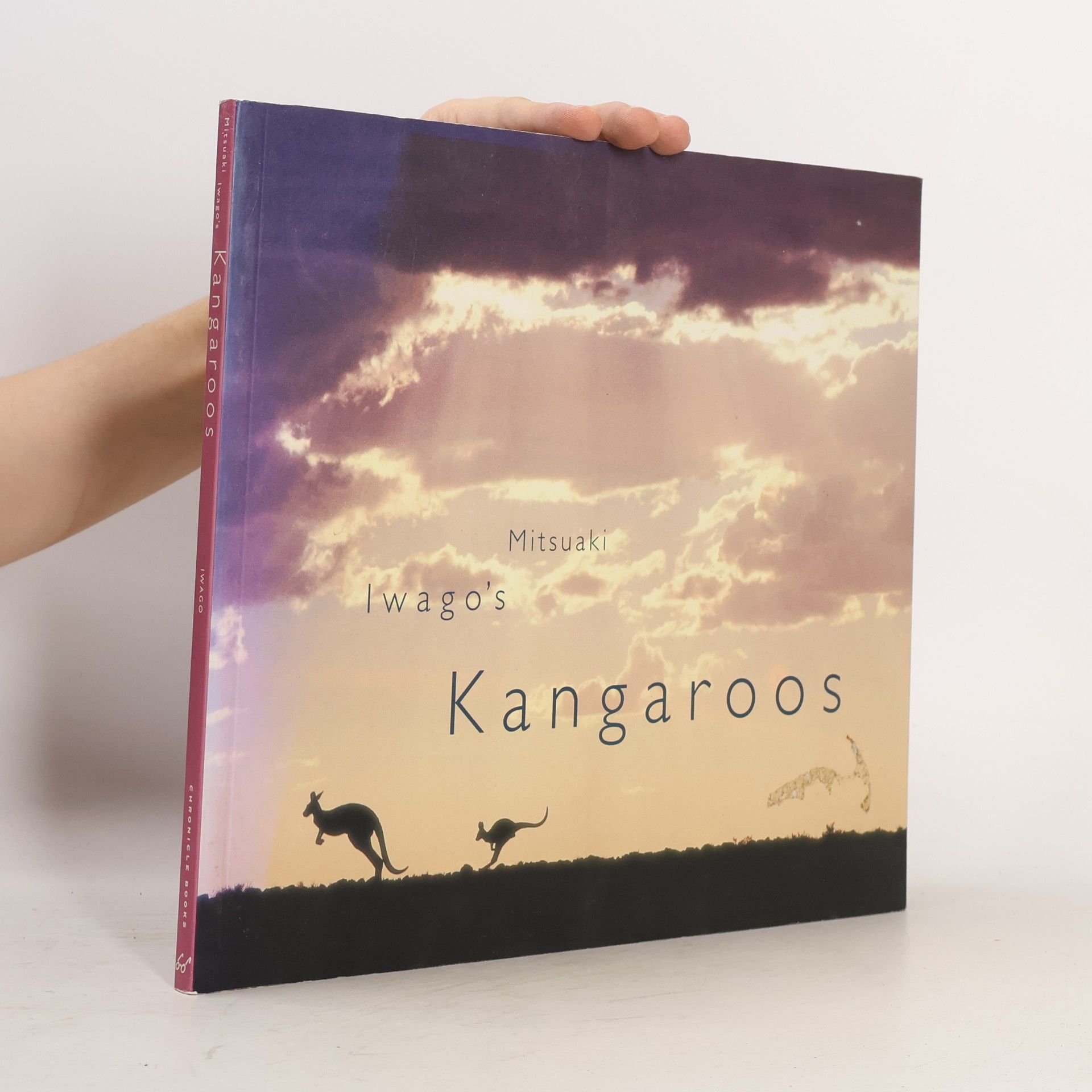 Mitsuaki Iwagō Mitsuaki Iwago's kangaroos